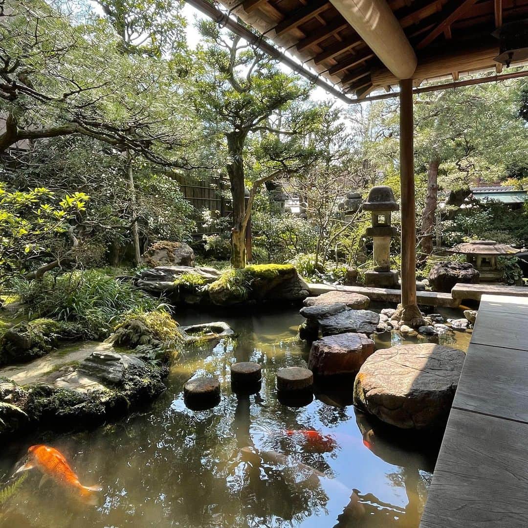 宇内梨沙さんのインスタグラム写真 - (宇内梨沙Instagram)「抹茶大好き〜🍵  日本の建築は本当に美しいし 何時間でも過ごしたくなる温かみと安心感がありますね✨」4月13日 19時37分 - risaunai