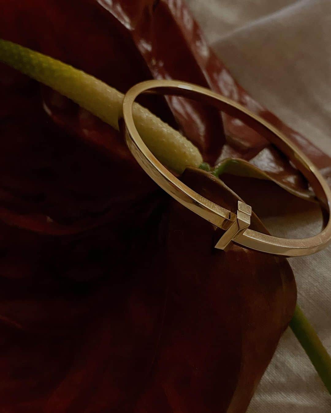 三吉彩花さんのインスタグラム写真 - (三吉彩花Instagram)「My partner is always special, and I'm spending good days with this necklace and bangle.  #TiffanyPartner @tiffanyandco」4月13日 20時09分 - miyoshi.aa