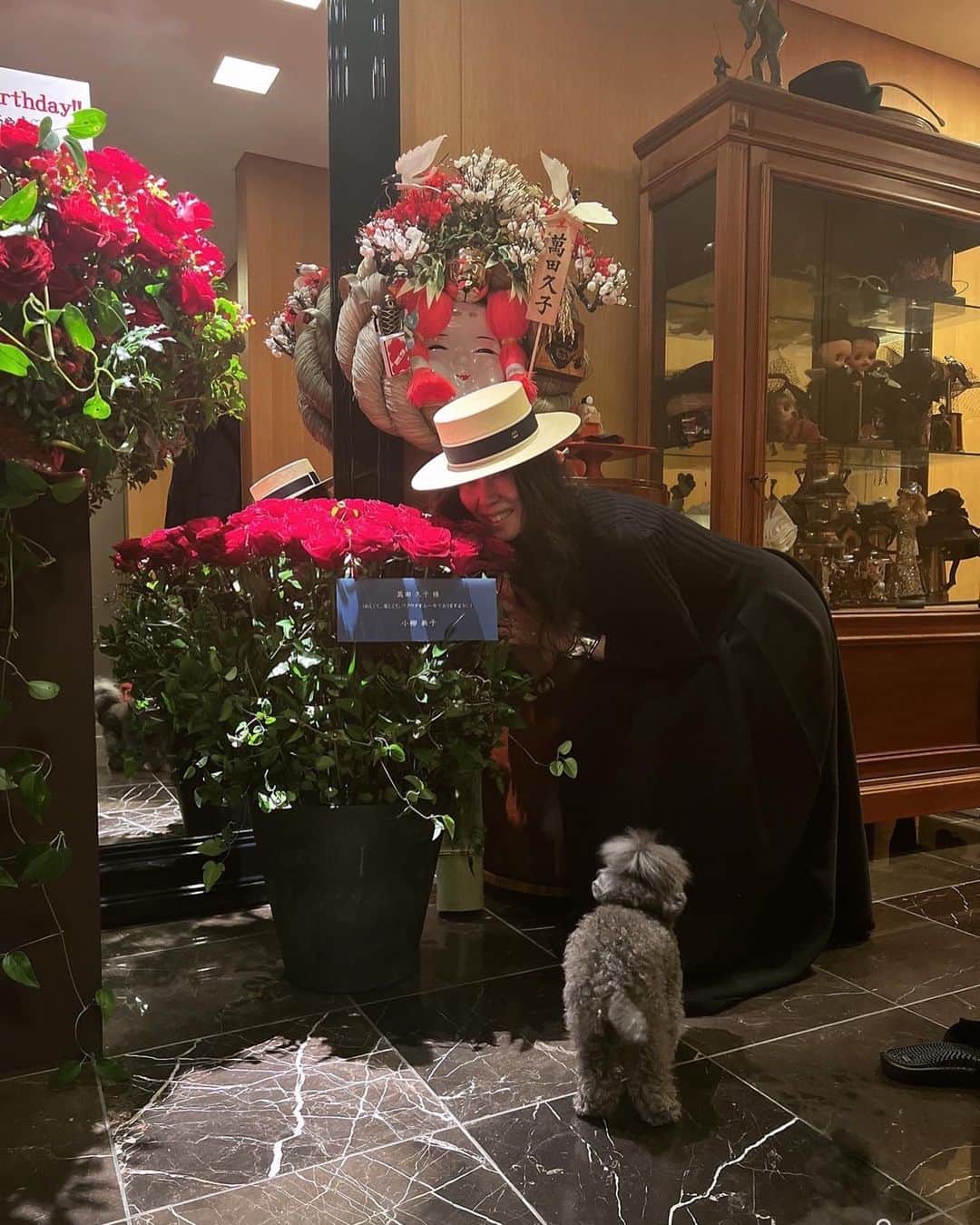 萬田久子さんのインスタグラム写真 - (萬田久子Instagram)「🌹🌹トキメキ🌹キラメキ🌹🌹 　　　　🌹ありがとう🌹 ⁡ #感謝♡ #rose #愛犬 #dog #プードル #萬田久子」4月13日 22時03分 - hisako.manda_official