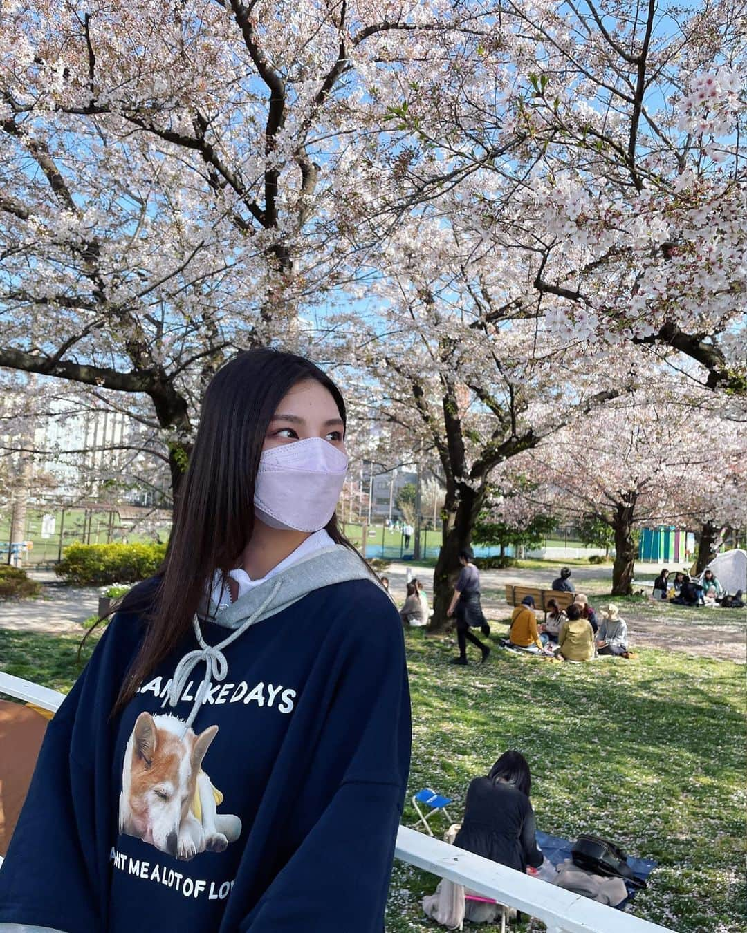 相楽伊織さんのインスタグラム写真 - (相楽伊織Instagram)「🌸🍃  春は冬と秋の次に好き コーヒーが飲みたくなる季節です☕️  舞台稽古が始まりました☺︎ 一つ一つの言葉を大切に 千秋楽まで頑張っていきます🤍  #かがみの孤城   #チップ #🐶」4月14日 17時48分 - _iorisagara264_