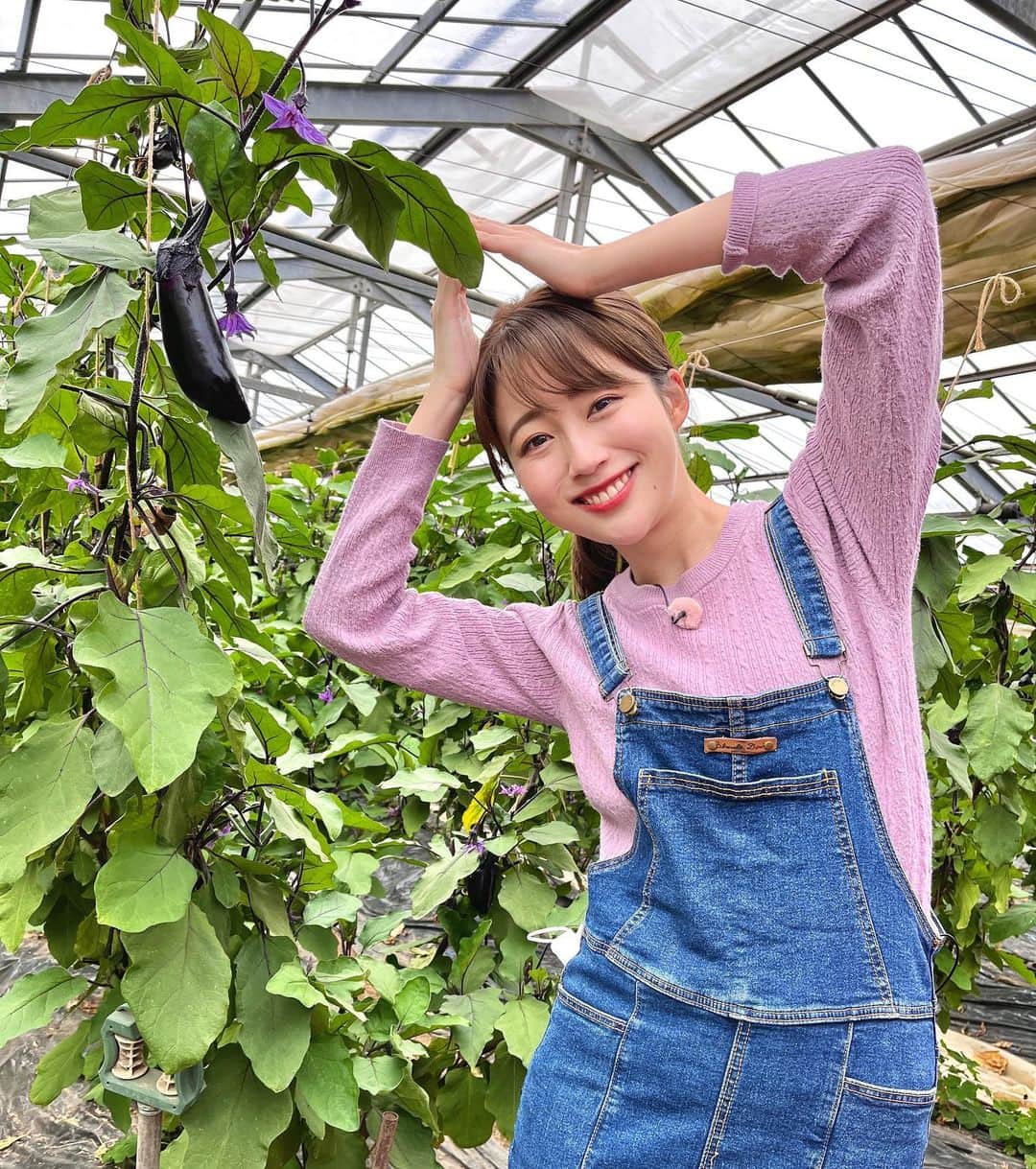 澤井志帆さんのインスタグラム写真 - (澤井志帆Instagram)「.2022.4.14 ⁡ 今週のごちカンは三島市から「ナス」をご紹介🍆🤍 ⁡ 艶やかで美しく、甘くてとても美味しかったです♩ 生産者さんに美味しいナスの見分け方も教えていただきました😊❤︎ ⁡ 4/17(日)午前11:40〜「ごちそうカントリー」 ぜひご覧ください！♡ ⁡ ⁡ #DaiichiTV#ごちカン#アナウンサー#静岡#三島#三島市#ナス」4月14日 20時19分 - shiho_sawai