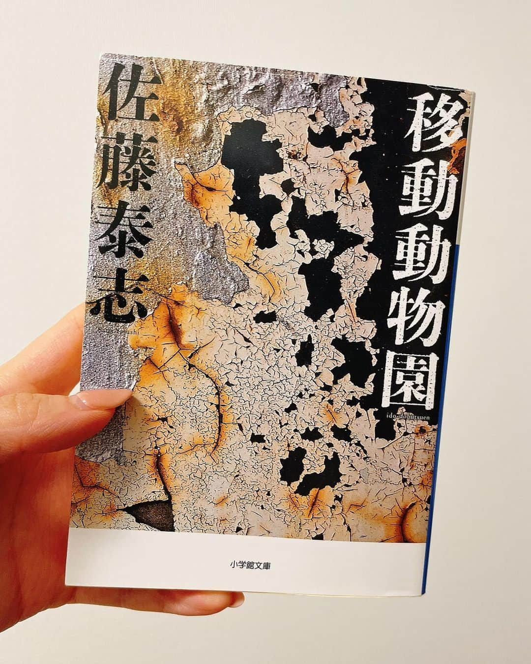 千葉真由佳さんのインスタグラム写真 - (千葉真由佳Instagram)「【お茶には読書🍵📚】 最近またいい本に出会えたので 厳選した３冊を紹介します。  ◼︎美しい距離(2020)山﨑ナオコーラ →書くのも読むのも好きな高校の同級生がオススメしてくれたもの。 「死」に対するステレオタイプとか生きることに対してこう捉えなきゃっていけないのかなっていう自分の中の義務のようなものが一気に崩れ落ちた。タイトルの"美しい距離"って何なんだろうって気になった人はぜひ読んで。  ◼︎月の満ち欠け(2019)佐藤正午 →常識を共有し合うことで成り立っている私たち。もし説明のつけようのない出来事に遭遇したら...?? 同じ人格で輪廻転生する女性と3人の男性のお話。結構話が錯綜しながら進むので一気読み必須！引き込まれました。  ◼︎移動動物園(1991)佐藤泰志 →筆者の畳み掛けてくる短文が好きなんです。この人の他の作品にも言えることですが...なんともない労働の1日を描いているようにみえるけど、淡々としているからこそ自分もそこにいるような生々しさがあります。80年代の話。  空き時間を見つけては 読みたい本をリストアップしたり なにを紹介しようかなって いつもワクワクしてます☺️🤍 読書には美味しいお茶と、 あとおやつも忘れずにね...😘 ここでは美味しいワッフルを頂きました🧇  #tbs#tbsnews#アナウンサー#キャスター#フリーアナウンサー#千葉真由佳#青森#読書#真由佳の本棚#オススメ本#読書好き#月の満ち欠け#直木賞#美しい距離#移動動物園#佐藤正午#佐藤泰志#山﨑ナオコーラ#カフェ巡り#🧇#🍵#📚」4月14日 22時01分 - mayuka.chiba