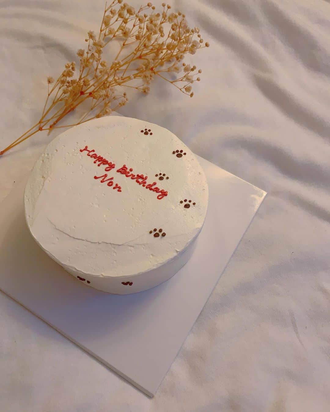 ゆうたむさんのインスタグラム写真 - (ゆうたむInstagram)「🐾🐾🐾  ʜᴀᴘᴘʏ ʙɪʀᴛʜᴅᴀʏ  のんちゃん おめでとう🤎  #ゆうたむの犬🐶  #cake #happybirthday  #だいすき  #ミニチュアダックスフンド  #6歳」4月15日 1時09分 - yuutamu_non