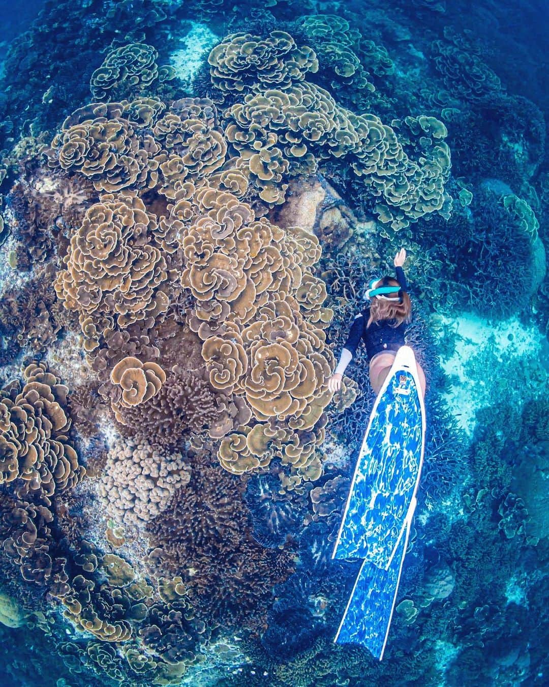 ちゃんもりさんのインスタグラム写真 - (ちゃんもりInstagram)「ヤビジ行けなくて穴場スポット巡り🏝 まだまだ知らない宮古島の世界があった😍 生まれ変わりの聖地鍋底💎波がなくてめちゃくちゃ気持ち良く潜れたここ🤤 よく聞かれるロングフィンは @leaderfins_japan です🪸 . 📸 @ryumar17  . . . #leaderfins #リーダーフィン #ロングフィン #skindiving #スキンダイビング #スキンダイビング女子#海ガール#宮古島life#宮古島移住#宮古島シュノーケル#水中フォト#半水面#穴場スポット#ビキニ女子#ビキニガール#日焼け女子#黒肌女子#スキンダイビング#宮古島#ゴープロ女子#海中の世界」4月15日 12時30分 - xx817.a