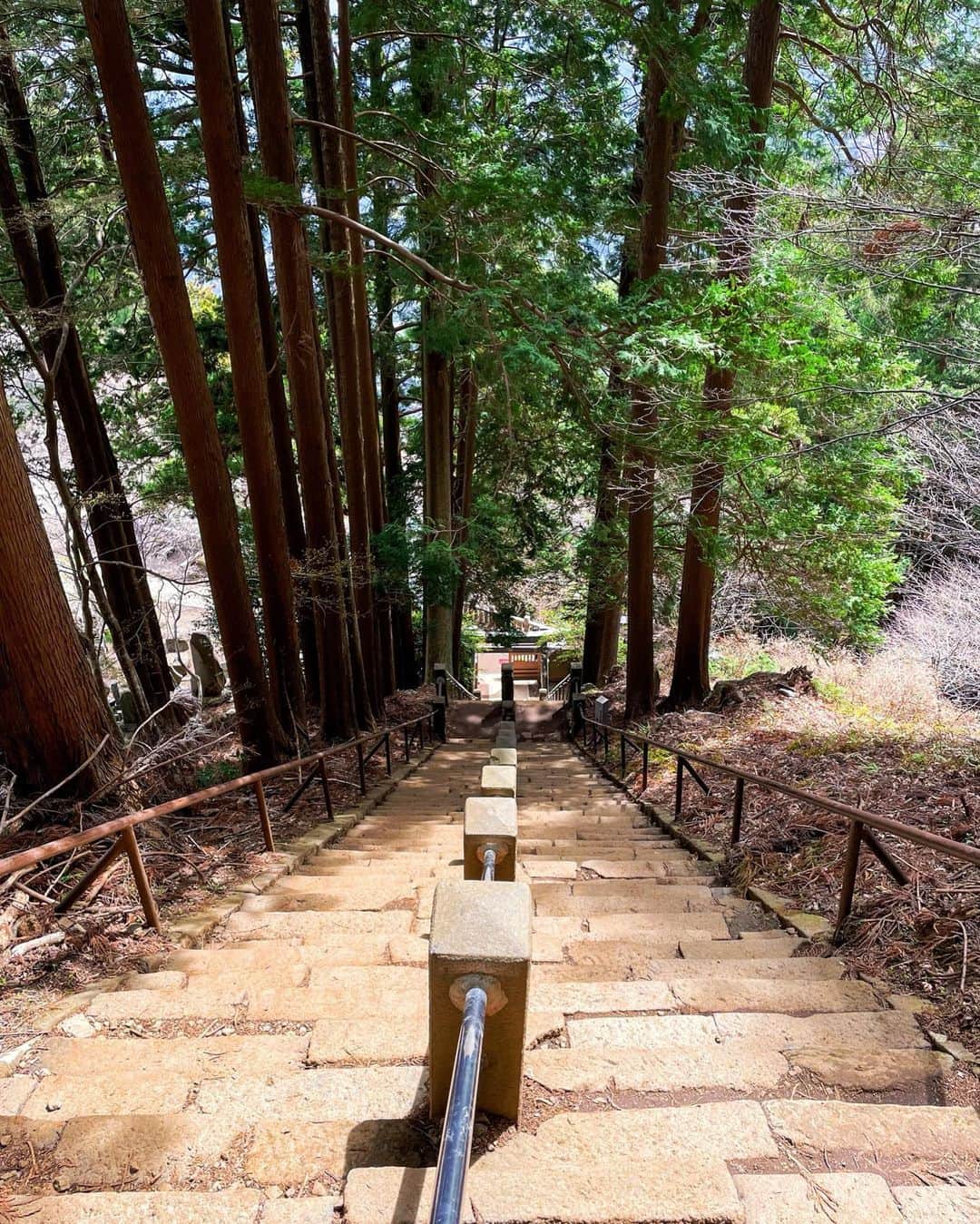 吉田夏海さんのインスタグラム写真 - (吉田夏海Instagram)「大山へ登山してきたよ⛰✨  何回か登ったことあるんだけど、あれ？こんなきつかったっけ？って思う山道だった😂  山頂着く時の達成感はやっぱり最高だね🔥  そんで下山早いから下山の方が好き😂✌️  降りてる途中で置物みたいに鹿がいてビックリした🦌⛰  近すぎるしこっち見てるし🤪w  可愛かったな☺️💓  自然のパワーをもらった1日でした💪  #大山 #登山 #山ガール #hiking #trekking #workout  #salomon」4月16日 18時50分 - natsumiiiiiiiiiii