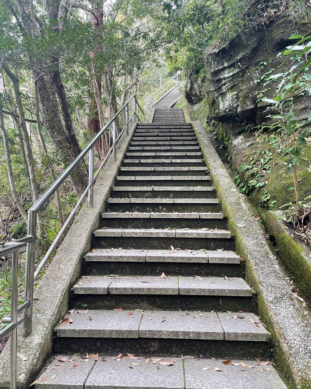 yukoさんのインスタグラム写真 - (yukoInstagram)「2022/04/17  今年２度目の鋸山へ⛰ 久しぶりに私の運転で、首都高ドキドキしながら片道だけ頑張った😂  スウェットはUNIQLOのメンズはSサイズでジャスト♡ 新価格でお得にね✌️  tops #uniqlo  pants #damefrank bag #bottegaveneta  shoes #newbalance」4月17日 16時03分 - sa_youu