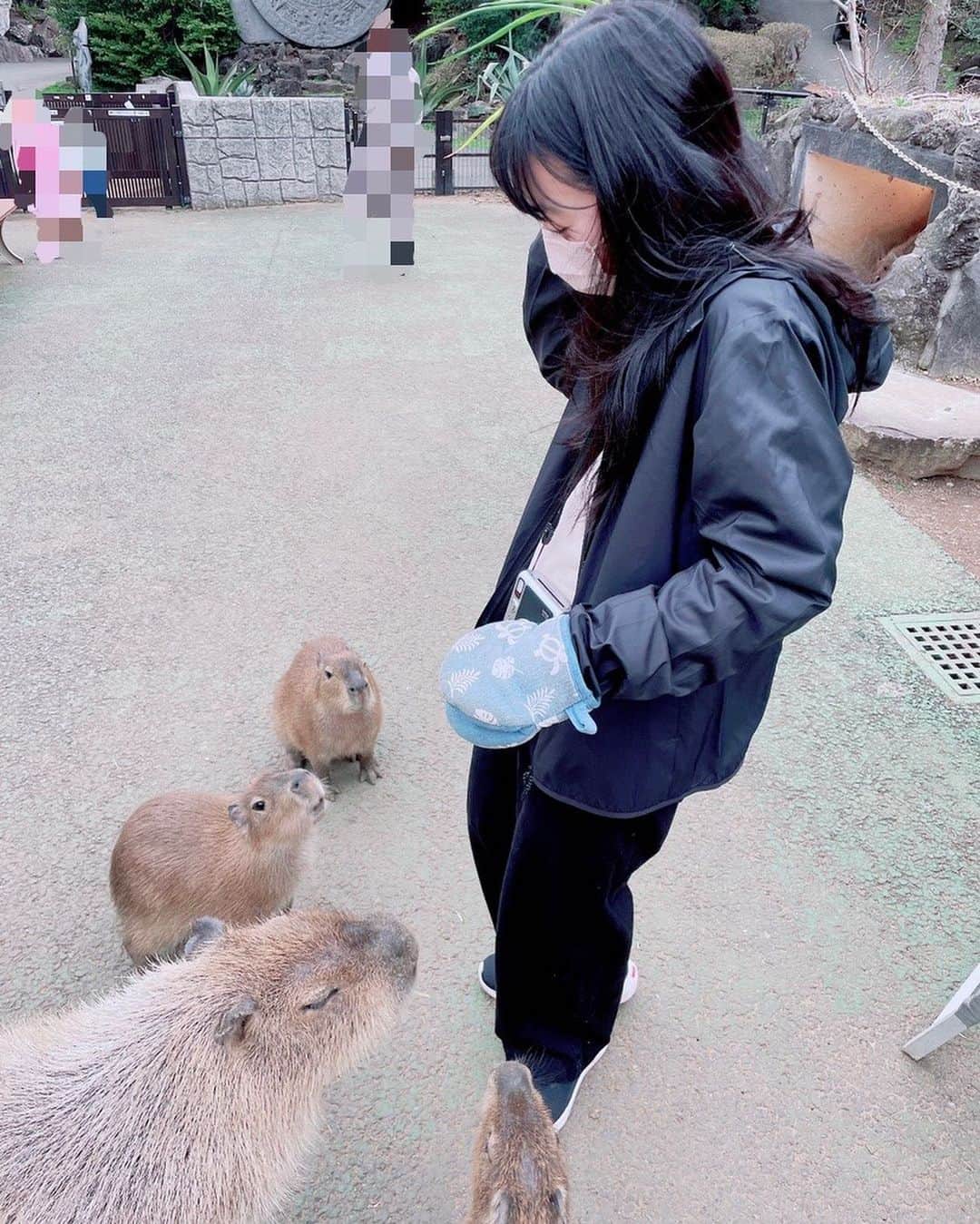 横溝菜帆さんのインスタグラム写真 - (横溝菜帆Instagram)「🌷  あっという間に過ぎた春休みの写真を何枚か☺️ 熱海と伊豆シャボテン公園です。  熱海では、コーヒー専門店で コーヒーぜんざいを食べて、 あまりの美味しさにびっくり☕️  シャボテン公園では、 初めてカピバラに餌をあげました 🦫 どんどん集まってきてすごく可愛いかったです✨  また行きたいな~🥰  #熱海 #伊豆シャボテン公園 #カピバラ #横溝菜帆」4月17日 18時02分 - y_naho_te