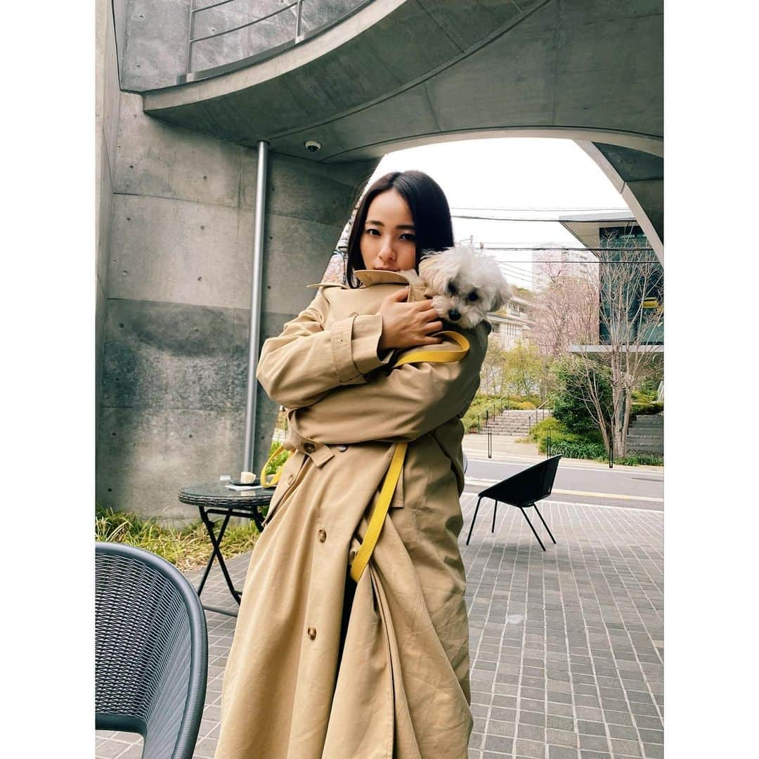 水崎綾女さんのインスタグラム写真 - (水崎綾女Instagram)「Have a break. w/ Malone & @chimaki_0128   #dog #dogstagram  #dogsofinstagram  #doglover  #doglife  #breakfast #breaktime #cafe」4月17日 18時23分 - misakiayame