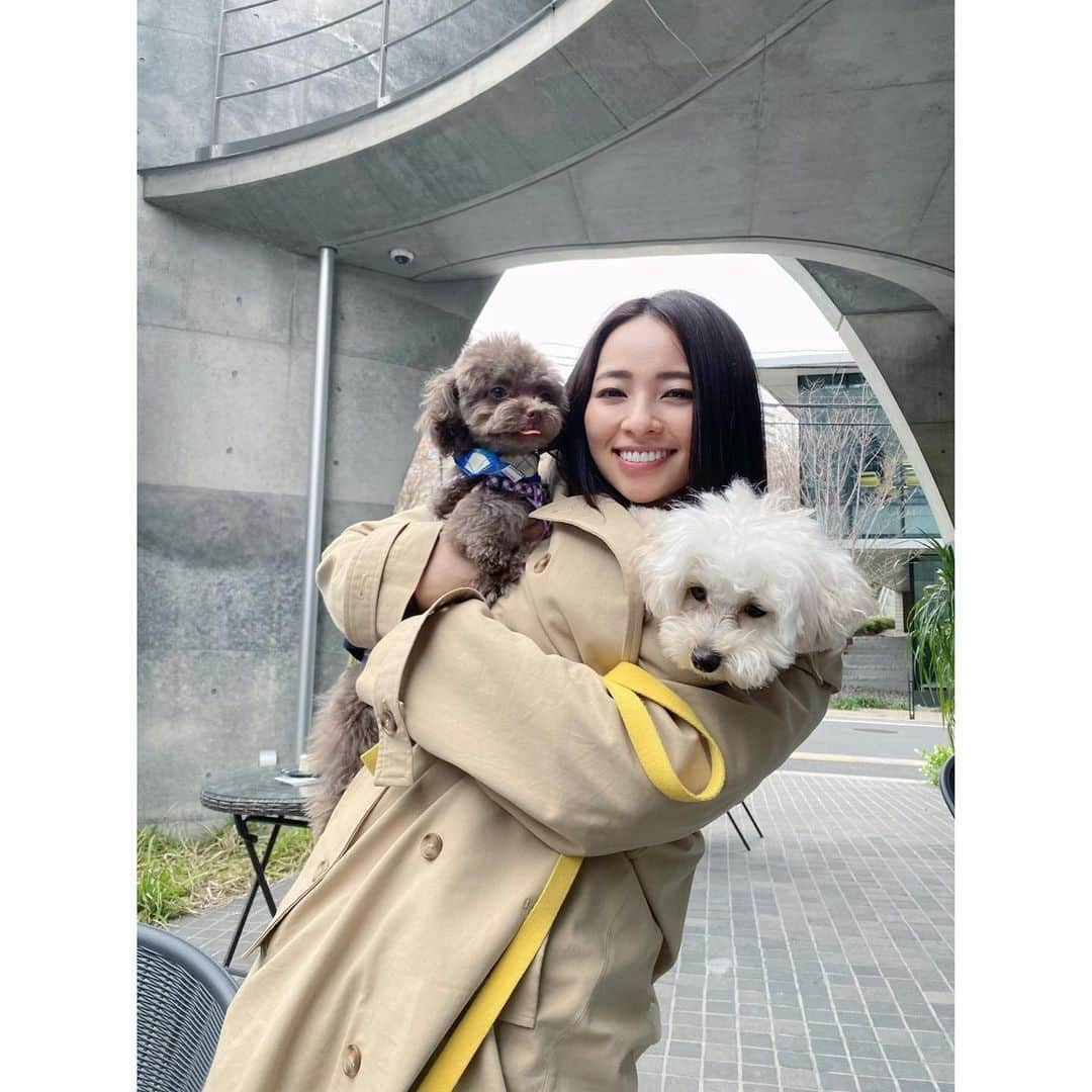 水崎綾女さんのインスタグラム写真 - (水崎綾女Instagram)「Have a break. w/ Malone & @chimaki_0128   #dog #dogstagram  #dogsofinstagram  #doglover  #doglife  #breakfast #breaktime #cafe」4月17日 18時23分 - misakiayame