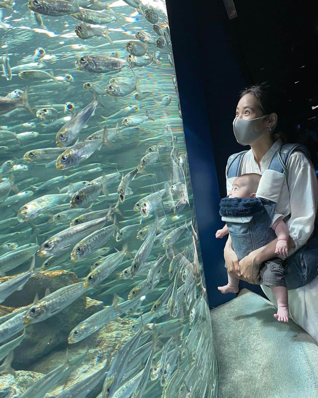VANRIさんのインスタグラム写真 - (VANRIInstagram)「☺︎> First time aquarium 🐠〜  情操教育という名のしっかり大人が楽しんできました♡笑 お子たちは刺激が強すぎたのか入場して数十分で 次々に夢の世界へ💤(写真５枚目。笑) それでも目が覚めている時は まんまるおめめをキョロキョロして 新しい世界を凝視していました👀✨ 何を感じたかなぁ？ どんなことを思ったかなぁ？ いつか思いを言葉で話してくれるようになったら たくさん聞いてみたいなぁ❤️  おかーちゃんはと言うと、、 ナポレオンフィッシュ、タヒチで一緒に泳いだな〜とか メキシコで魚の大群の中を泳いだな〜とか 北極圏の厳しい環境下でアザラシの親子見たな〜とか 海外ロケをたくさん思い出した久しぶりの水族館でした🥺💖」4月17日 22時11分 - vanri0121