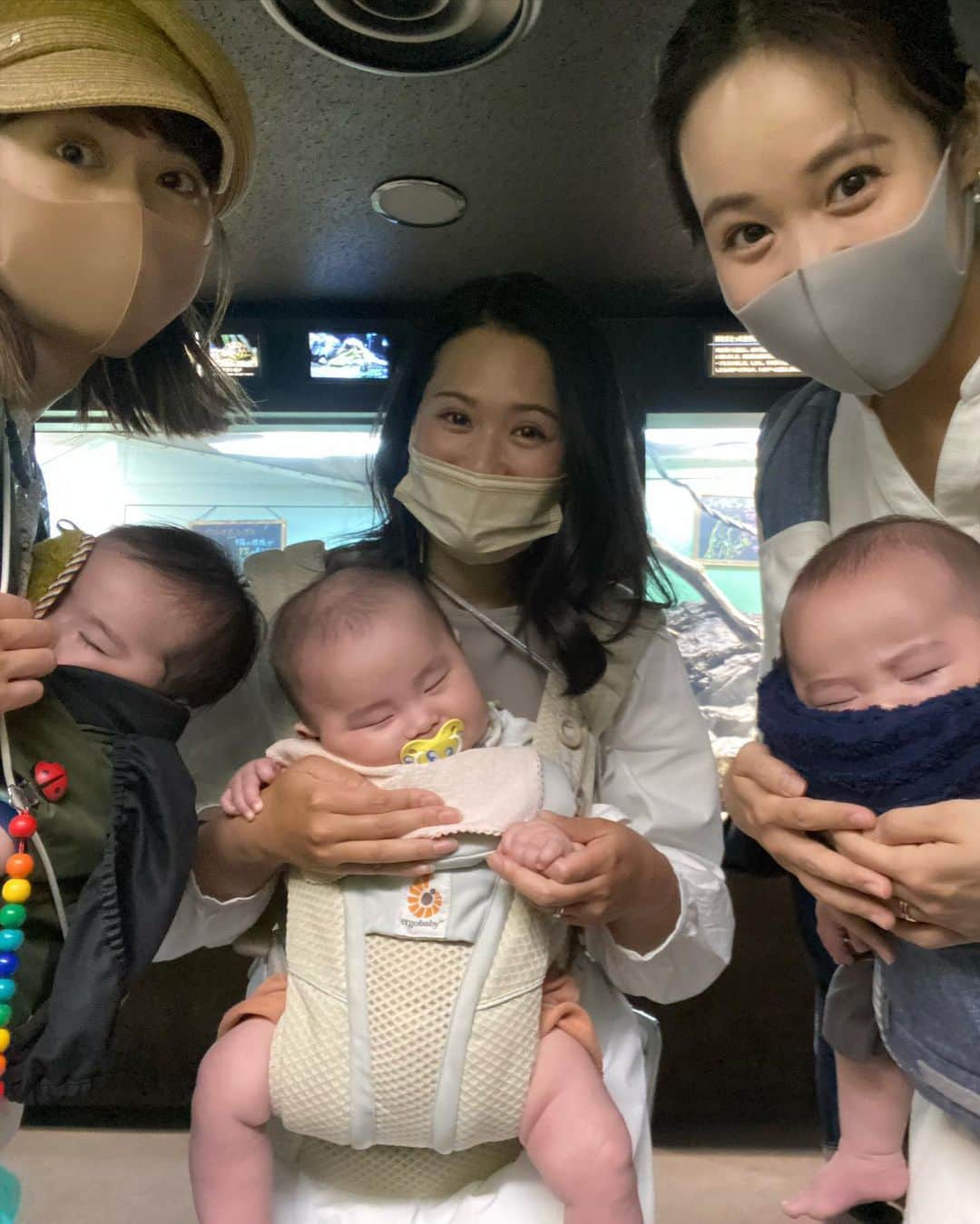 VANRIさんのインスタグラム写真 - (VANRIInstagram)「☺︎> First time aquarium 🐠〜  情操教育という名のしっかり大人が楽しんできました♡笑 お子たちは刺激が強すぎたのか入場して数十分で 次々に夢の世界へ💤(写真５枚目。笑) それでも目が覚めている時は まんまるおめめをキョロキョロして 新しい世界を凝視していました👀✨ 何を感じたかなぁ？ どんなことを思ったかなぁ？ いつか思いを言葉で話してくれるようになったら たくさん聞いてみたいなぁ❤️  おかーちゃんはと言うと、、 ナポレオンフィッシュ、タヒチで一緒に泳いだな〜とか メキシコで魚の大群の中を泳いだな〜とか 北極圏の厳しい環境下でアザラシの親子見たな〜とか 海外ロケをたくさん思い出した久しぶりの水族館でした🥺💖」4月17日 22時11分 - vanri0121