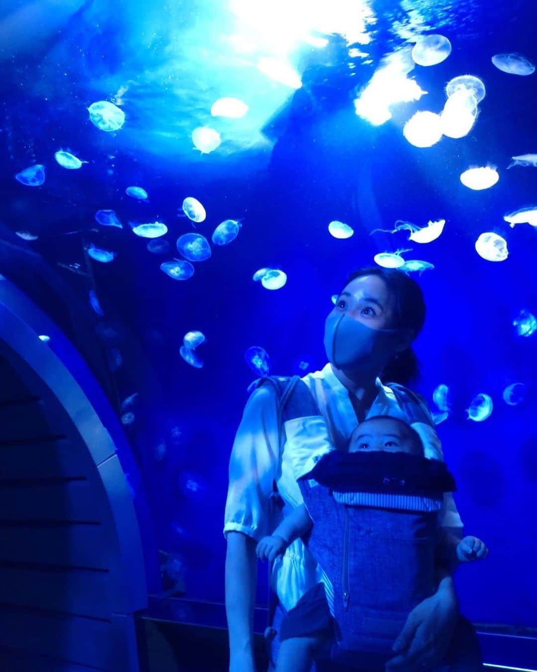 VANRIさんのインスタグラム写真 - (VANRIInstagram)「☺︎> First time aquarium 🐠〜  情操教育という名のしっかり大人が楽しんできました♡笑 お子たちは刺激が強すぎたのか入場して数十分で 次々に夢の世界へ💤(写真５枚目。笑) それでも目が覚めている時は まんまるおめめをキョロキョロして 新しい世界を凝視していました👀✨ 何を感じたかなぁ？ どんなことを思ったかなぁ？ いつか思いを言葉で話してくれるようになったら たくさん聞いてみたいなぁ❤️  おかーちゃんはと言うと、、 ナポレオンフィッシュ、タヒチで一緒に泳いだな〜とか メキシコで魚の大群の中を泳いだな〜とか 北極圏の厳しい環境下でアザラシの親子見たな〜とか 海外ロケをたくさん思い出した久しぶりの水族館でした🥺💖」4月17日 22時11分 - vanri0121