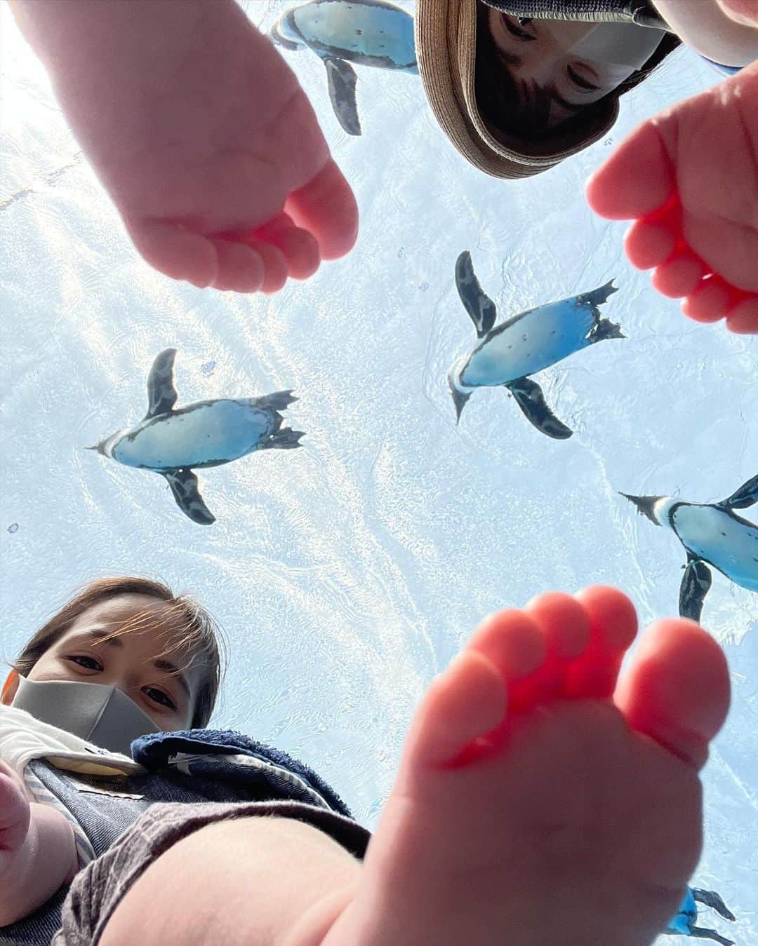 VANRIさんのインスタグラム写真 - (VANRIInstagram)「☺︎> First time aquarium 🐠〜  情操教育という名のしっかり大人が楽しんできました♡笑 お子たちは刺激が強すぎたのか入場して数十分で 次々に夢の世界へ💤(写真５枚目。笑) それでも目が覚めている時は まんまるおめめをキョロキョロして 新しい世界を凝視していました👀✨ 何を感じたかなぁ？ どんなことを思ったかなぁ？ いつか思いを言葉で話してくれるようになったら たくさん聞いてみたいなぁ❤️  おかーちゃんはと言うと、、 ナポレオンフィッシュ、タヒチで一緒に泳いだな〜とか メキシコで魚の大群の中を泳いだな〜とか 北極圏の厳しい環境下でアザラシの親子見たな〜とか 海外ロケをたくさん思い出した久しぶりの水族館でした🥺💖」4月17日 22時11分 - vanri0121