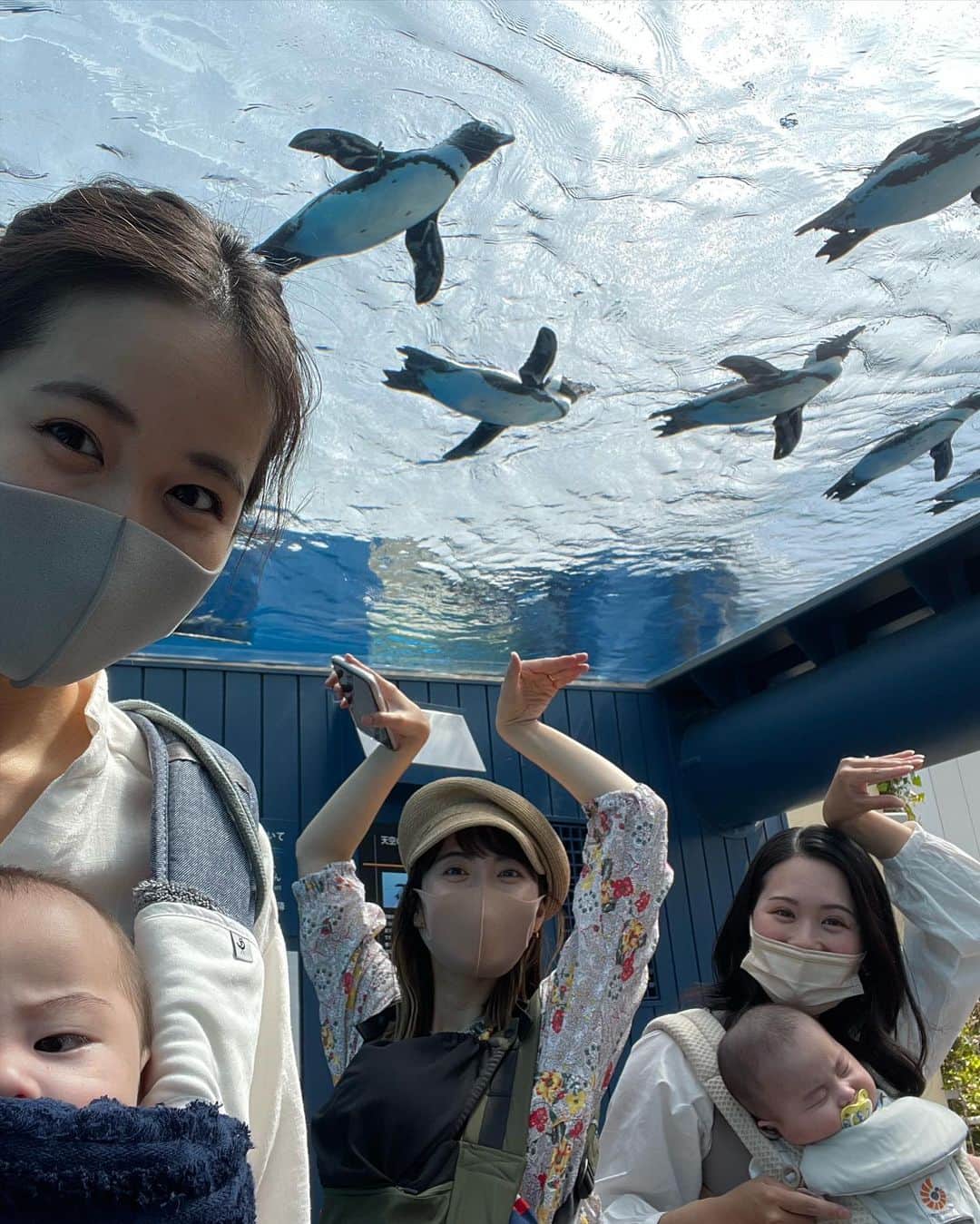 VANRIさんのインスタグラム写真 - (VANRIInstagram)「☺︎> First time aquarium 🐠〜  情操教育という名のしっかり大人が楽しんできました♡笑 お子たちは刺激が強すぎたのか入場して数十分で 次々に夢の世界へ💤(写真５枚目。笑) それでも目が覚めている時は まんまるおめめをキョロキョロして 新しい世界を凝視していました👀✨ 何を感じたかなぁ？ どんなことを思ったかなぁ？ いつか思いを言葉で話してくれるようになったら たくさん聞いてみたいなぁ❤️  おかーちゃんはと言うと、、 ナポレオンフィッシュ、タヒチで一緒に泳いだな〜とか メキシコで魚の大群の中を泳いだな〜とか 北極圏の厳しい環境下でアザラシの親子見たな〜とか 海外ロケをたくさん思い出した久しぶりの水族館でした🥺💖」4月17日 22時11分 - vanri0121