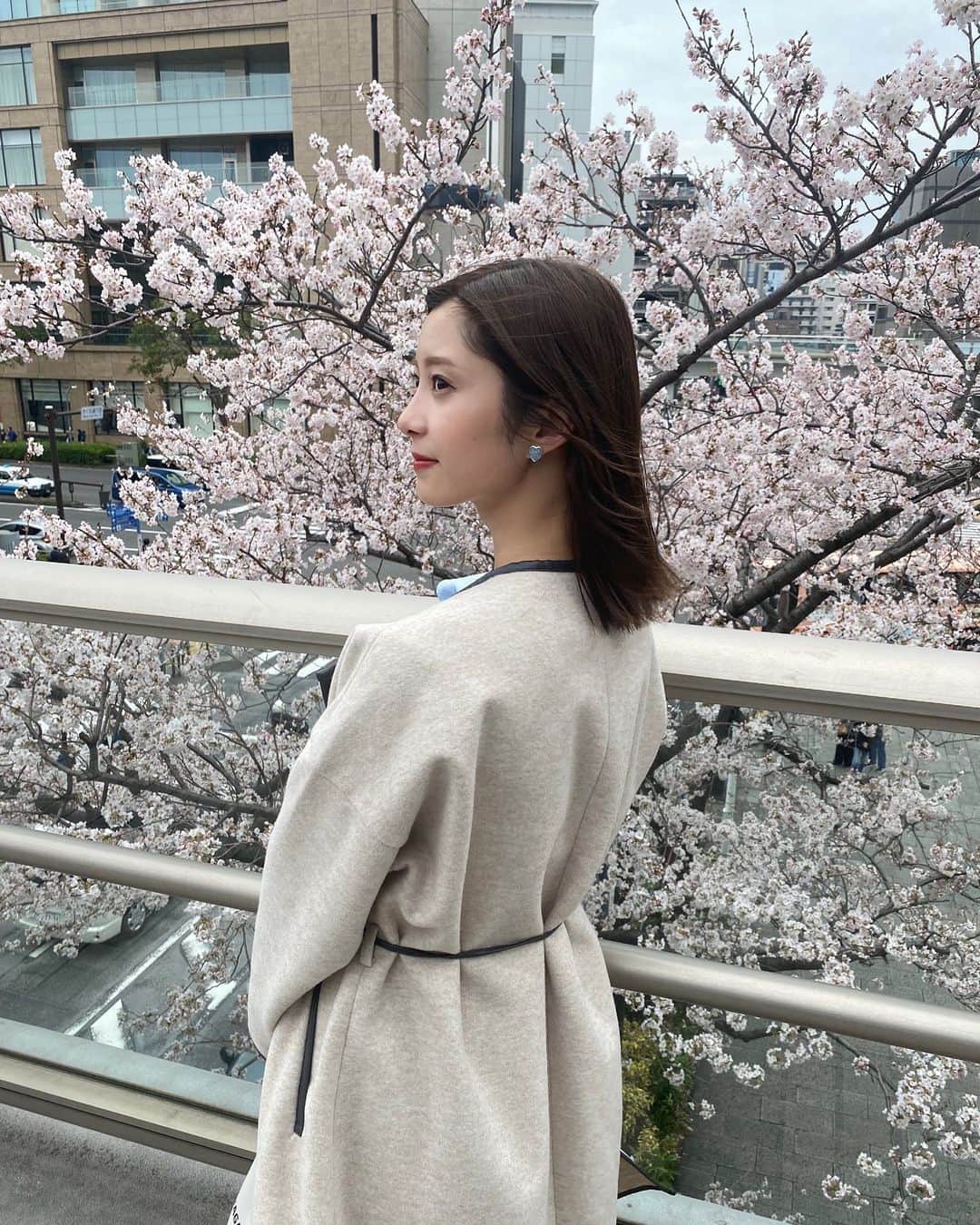 松川星さんのインスタグラム写真 - (松川星Instagram)「桜木町の桜と🌸」4月18日 19時32分 - akarin__rin