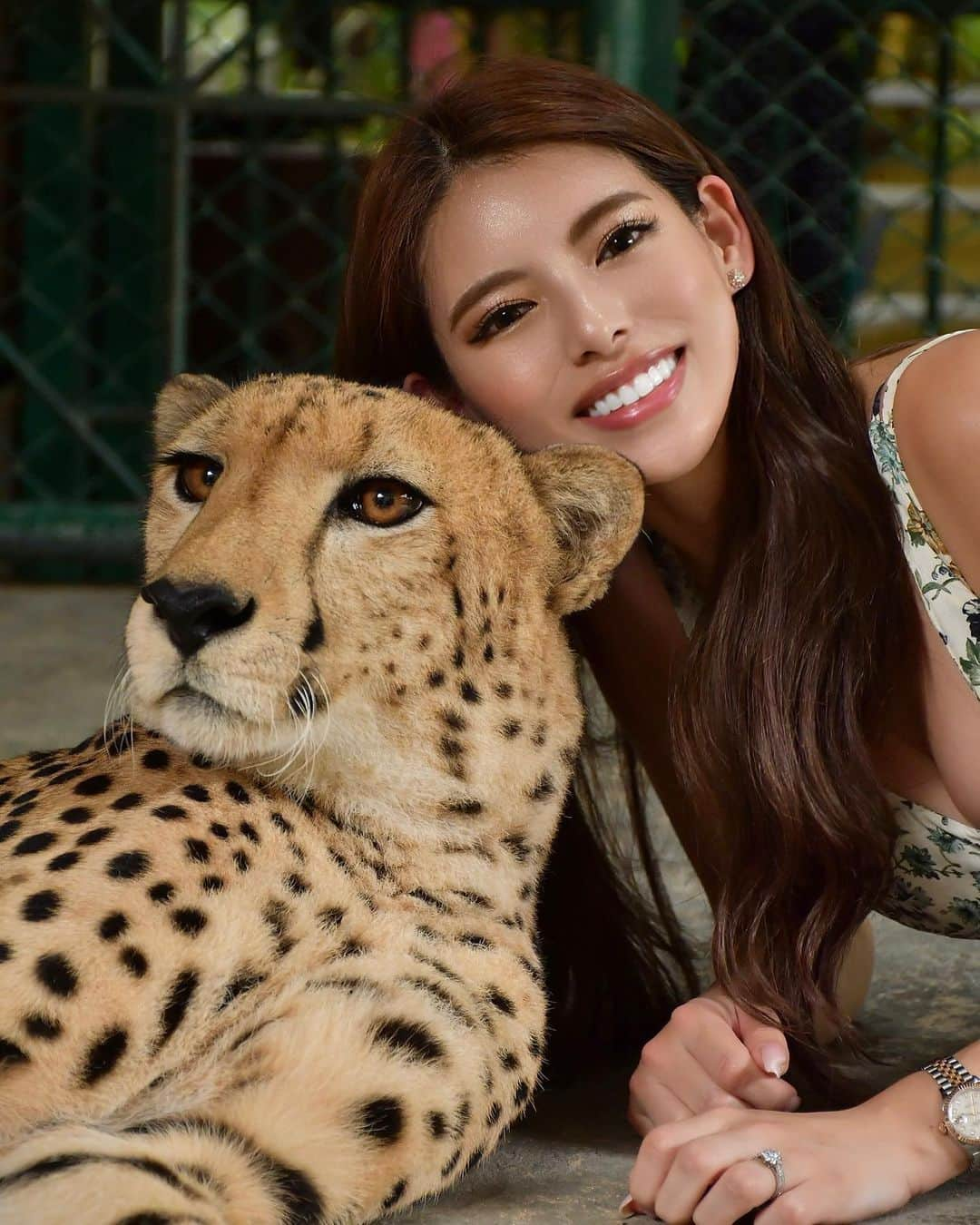 MINAMIさんのインスタグラム写真 - (MINAMIInstagram)「.  Happy to meet the cheetah 😘 Very smart and cute ❤️❤️  .  チーター本当に可愛かった✨✨ カメラ目線上手だね👌☺️ 可愛いく撮らせてくれてありがと🌹  . . . . .   #instagood  #likeforlike #l4l  #フォロー #tripstagram #makeup  #いいね  #撮影  #インスタ映え  #travel #happy #旅行  #ハーフモデル  #海外旅行好きな人と繋がりたい #phuket #thailandtravel #phukettrip #タイ旅行 #女子旅 #instatravel #海外旅行 #ビジョビ #タビジョ #チーター #animallovers #タイガーキングダム #tigerkingdomphuket #tigerkingdom #🇹🇭 #動物好きな人と繋がりたい」4月18日 20時39分 - 373.mii