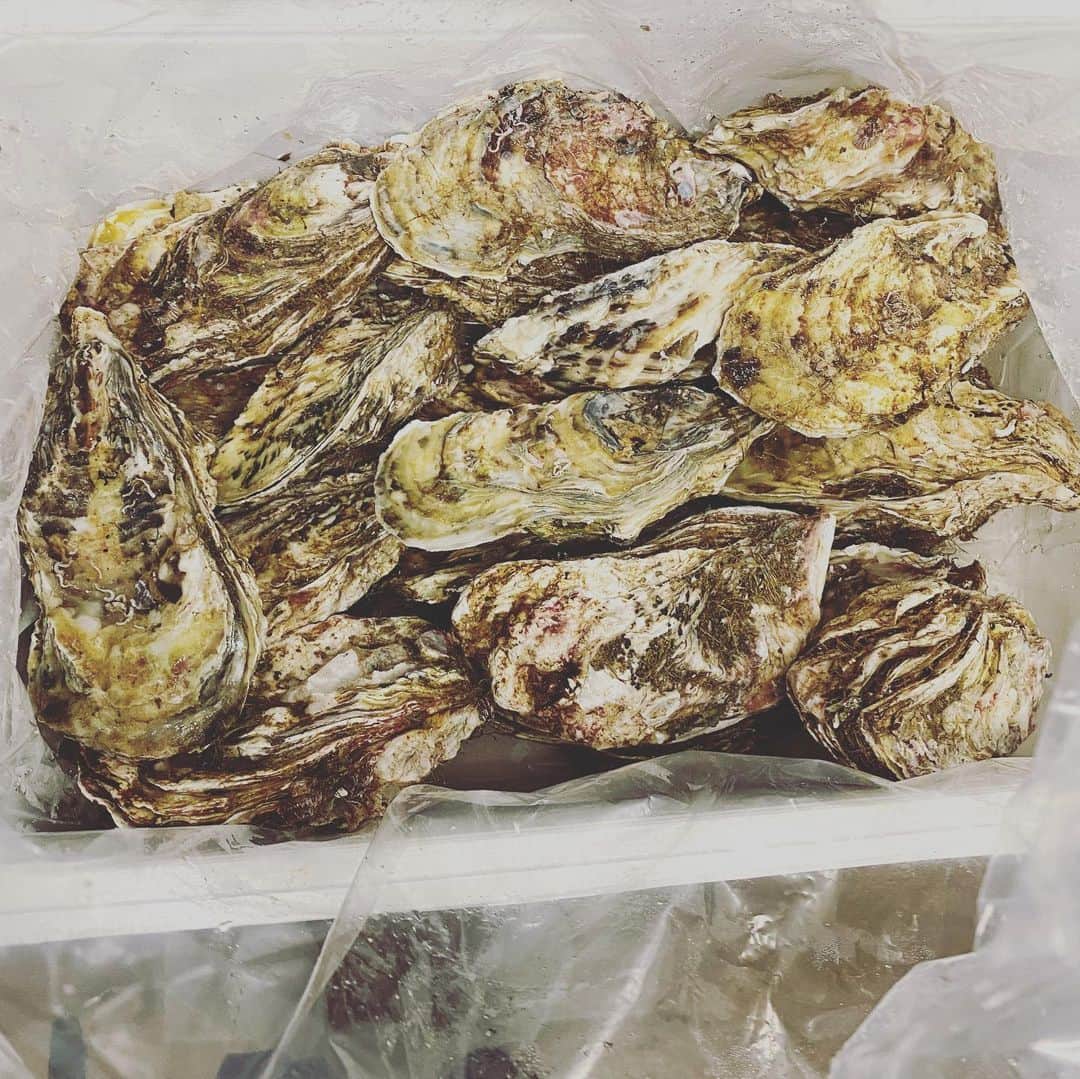 浜島直子さんのインスタグラム写真 - (浜島直子Instagram)「ぃやっほーーい❣️✨  姉智子よ、ありがとうーー！！！！  「ナオが北海道の人で良かった」と、こういう時すごく言われる（笑）🙌 ・ #甥っ子の高校入学祝いのお返しが #牡蠣 #最高かよ #最初は生牡蠣で #剥いたそばから台所でチュルッと🤣 #白ワインとともに🍾 #後はアヒージョやらなんやかんやで #美味しくいただきました❤️ #姉智子 #ありがとう🥰❣️」4月18日 21時30分 - hamaji_0912