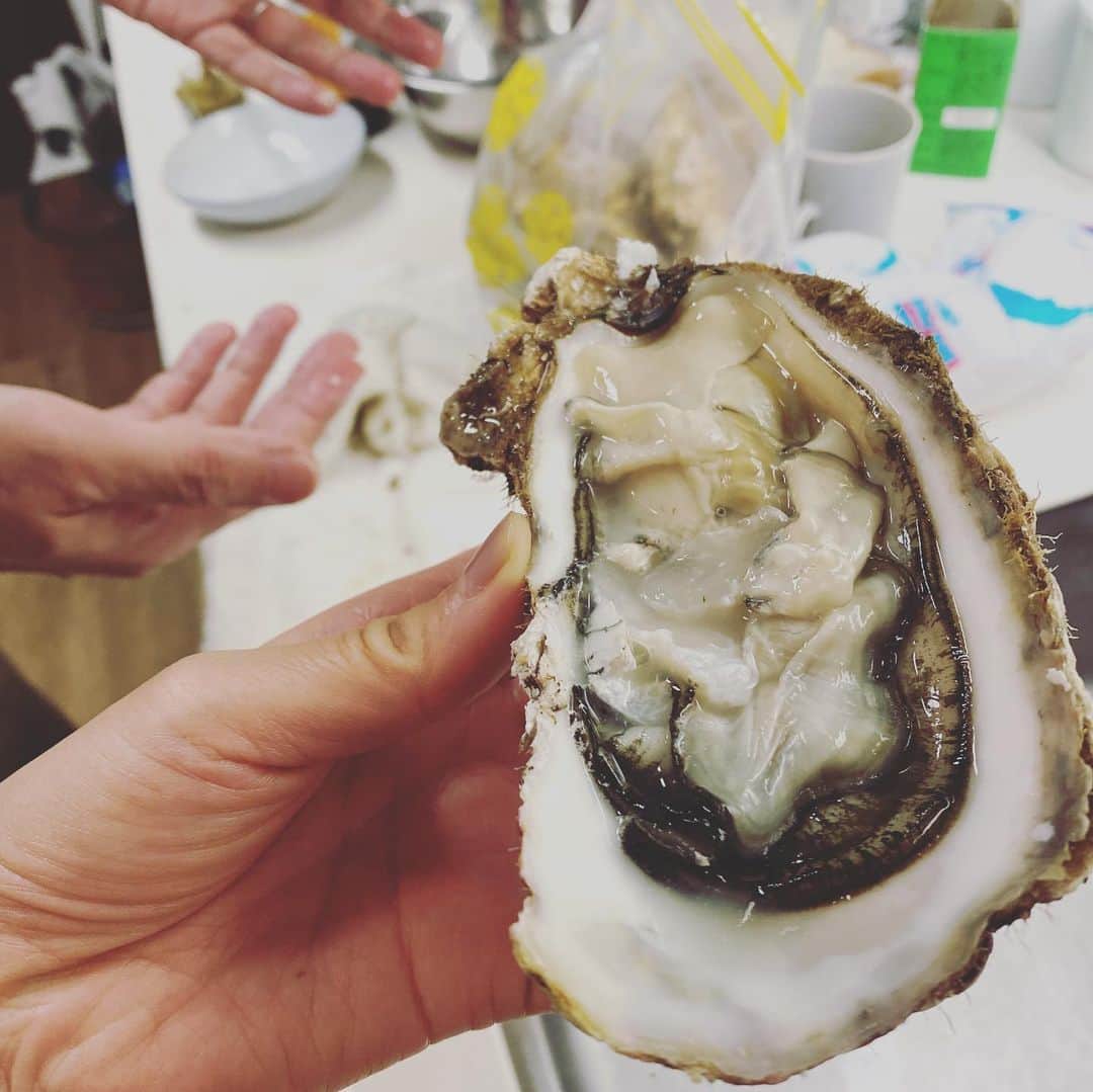 浜島直子さんのインスタグラム写真 - (浜島直子Instagram)「ぃやっほーーい❣️✨  姉智子よ、ありがとうーー！！！！  「ナオが北海道の人で良かった」と、こういう時すごく言われる（笑）🙌 ・ #甥っ子の高校入学祝いのお返しが #牡蠣 #最高かよ #最初は生牡蠣で #剥いたそばから台所でチュルッと🤣 #白ワインとともに🍾 #後はアヒージョやらなんやかんやで #美味しくいただきました❤️ #姉智子 #ありがとう🥰❣️」4月18日 21時30分 - hamaji_0912