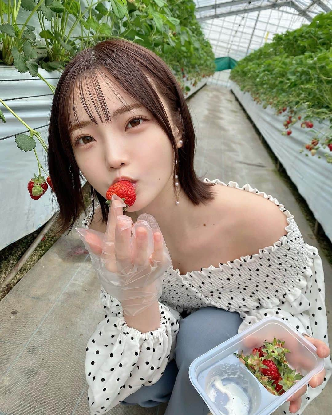 新谷姫加さんのインスタグラム写真 - (新谷姫加Instagram)「またすぐ行きたい🍓」4月18日 21時46分 - hime._.gram