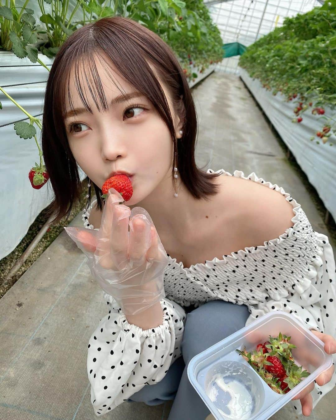 新谷姫加さんのインスタグラム写真 - (新谷姫加Instagram)「またすぐ行きたい🍓」4月18日 21時46分 - hime._.gram