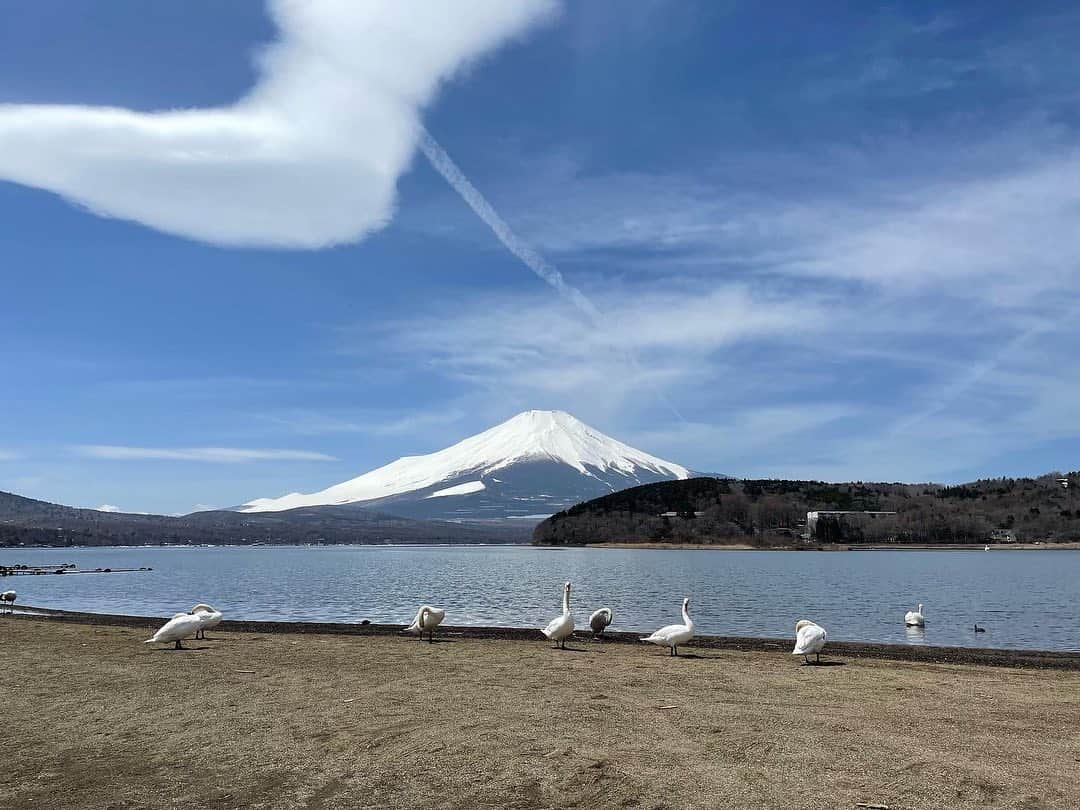 橋本志穂さんのインスタグラム写真 - (橋本志穂Instagram)「富士山の上にも 白鳥雲がずーっと 浮かんでたんだー  #バイク女子　#brp　#can-am #spyderf3」4月19日 16時53分 - shihohashimoto3