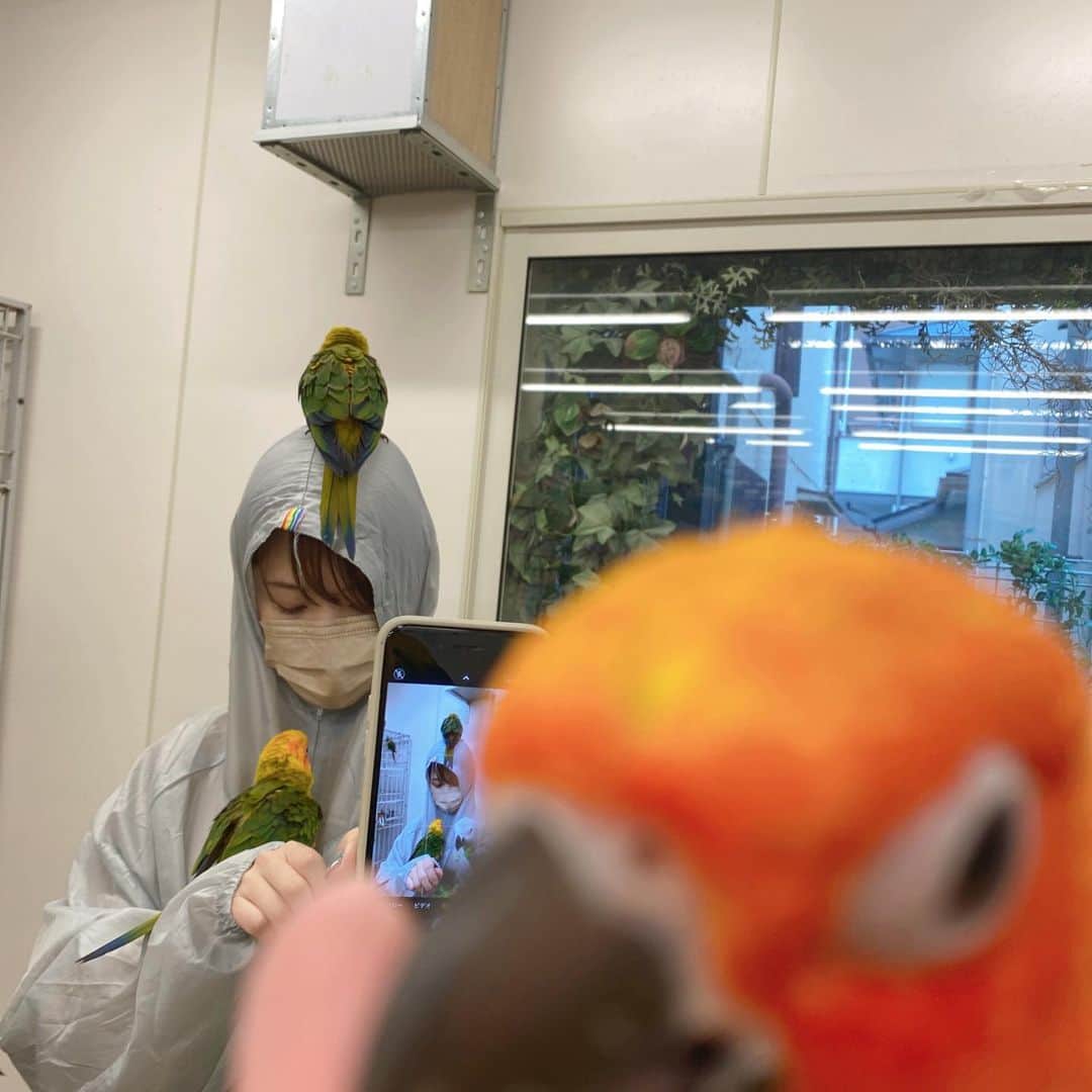 真奈さんのインスタグラム写真 - (真奈Instagram)「鳥に囲まれる世界」4月19日 18時36分 - manatmnt0116