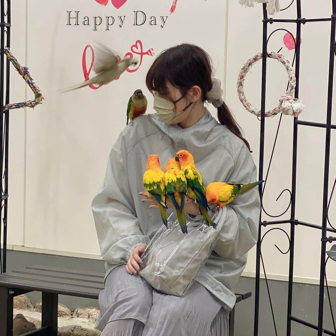 真奈さんのインスタグラム写真 - (真奈Instagram)「鳥に囲まれる世界」4月19日 18時36分 - manatmnt0116
