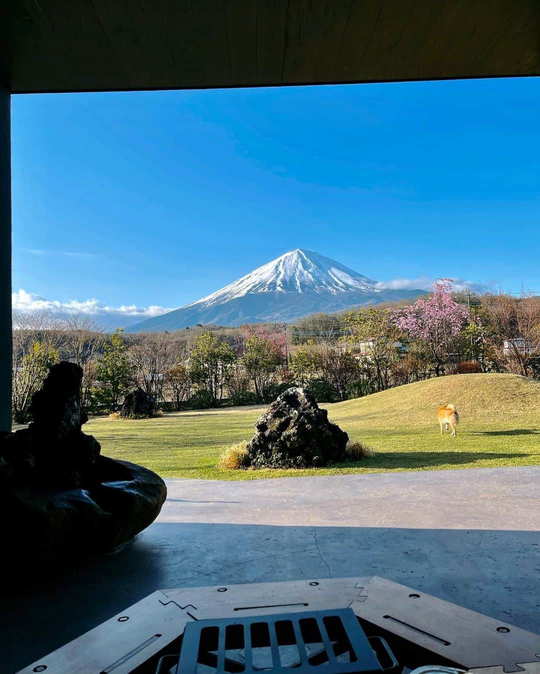 香川沙耶さんのインスタグラム写真 - (香川沙耶Instagram)「生まれてはじめてのサウナ🧖🏾‍♀️ 歳を重ねるとはじめてのことがどんどん減っていってしまうから、はじめてのことを見つけると五感で得ることのできる刺激に敏感です🧡⚡️🫧  って言ってもまだまだ知らないことがたくさんあるわたしですが。  富士山見ながら大好きなお風呂長ーく入って ただただ、ポツポツ雨の音を聞いたり 深く考えすぎずさらっと読む本で好きな言葉見つけて 好きな食べ物でお腹いっぱいに満たす。 定期的に自分と向き合う時間🤞🏽🌏✨  そしてなにより、ナラちゃんとエイちゃんにも土や芝生で思いっきり自由に走り回る、彼女たちも自分と向き合う時間を🐕🌱  全員に自分時間ができる最高な場所🐶🐶👩🏽💕💕💕 @abrasushotel   あ！ 強さは美しさ、弱さは可愛らしさ。 両方あるほうが魅力的なんだよ🌦 #selflove #travelwithdogs #mtfuji」4月19日 18時50分 - saya.kagawa