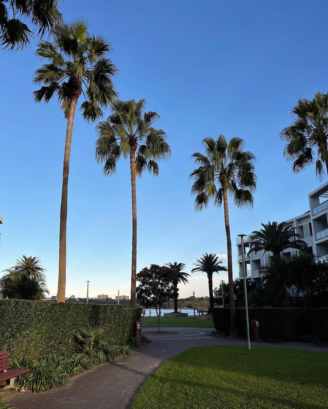 ヒョミン さんのインスタグラム写真 - (ヒョミン Instagram)「Friend 2 와 즐거운 시간 😜☁️🧚‍♂️🧴🌴」4月20日 12時22分 - hyominnn