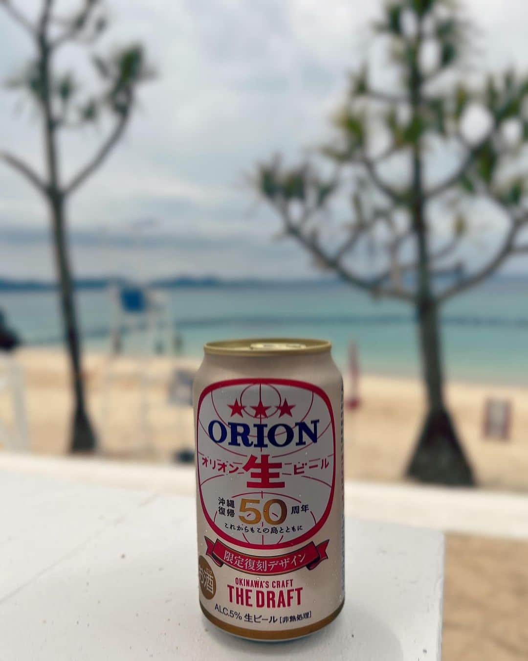 小田飛鳥さんのインスタグラム写真 - (小田飛鳥Instagram)「頑張る飯💪🥢 大好きな『大家（うふやー）』さん @ufuya.okinawa さんに、お初の『琉球焼肉天の川食堂てぃんがーら』 @tingara_motobu さん🥩💕 どちらも素敵な時間を過ごさせて頂きました♪ やっぱり豚肉美味しいな〜！ #おじぃ自慢のオリオンビール #オリオンビール #うふやー #天の川食堂 #japan #japanesefood #グルメ #gourmet」4月20日 14時00分 - asuka_oda_0320