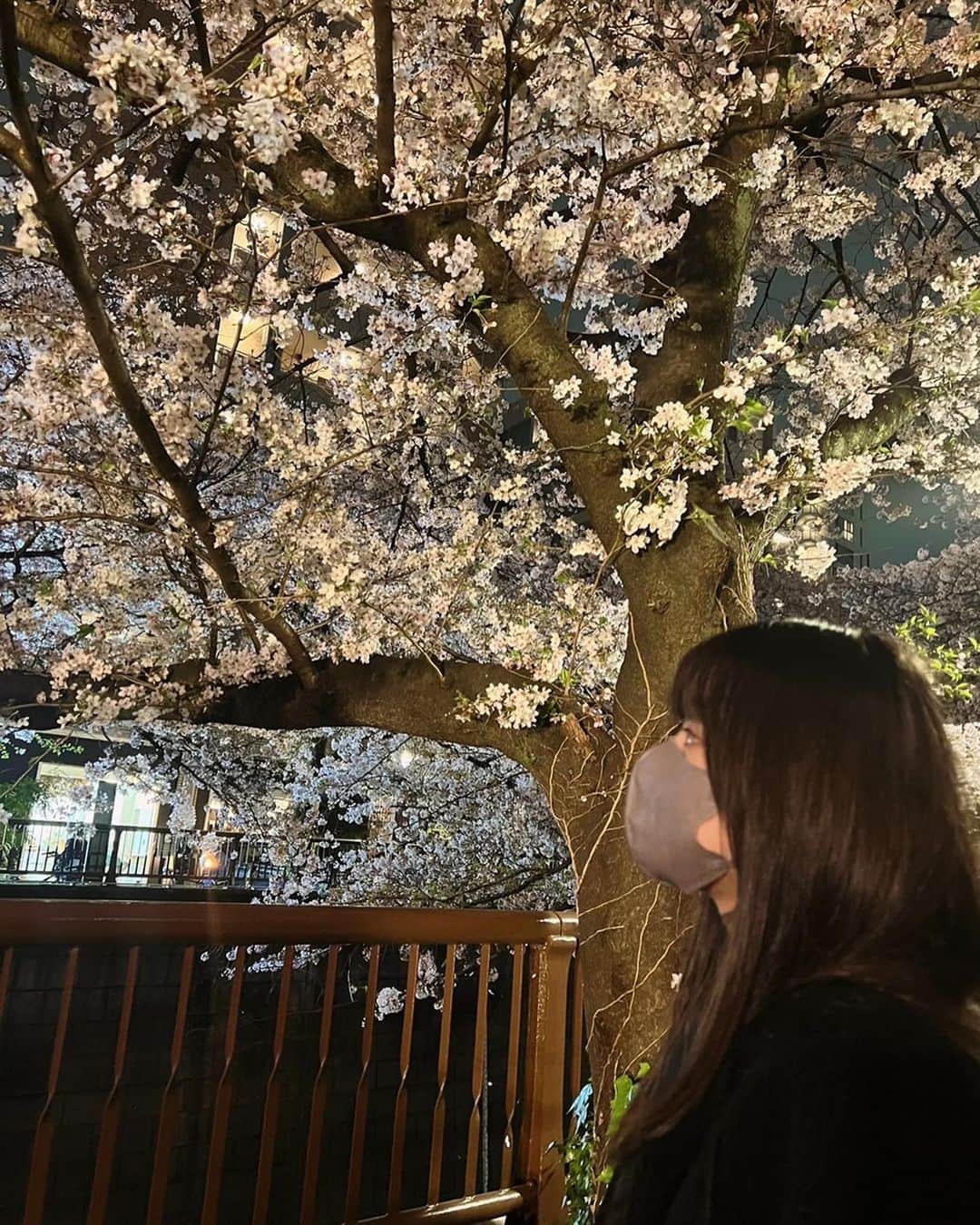 田畑志真さんのインスタグラム写真 - (田畑志真Instagram)「桜の季節は終わっちゃいましたが、まだ肌寒かったりで薄着になったり厚着になったりです🙃 最近ウォーキングにハマってます🚶‍♀️ 新学期も始まってゴールデンウィークももうすぐ☺︎ 何をしようか今からワクワクです!!  桜が咲いていた時期の写真です📸」4月20日 19時56分 - shiima1224