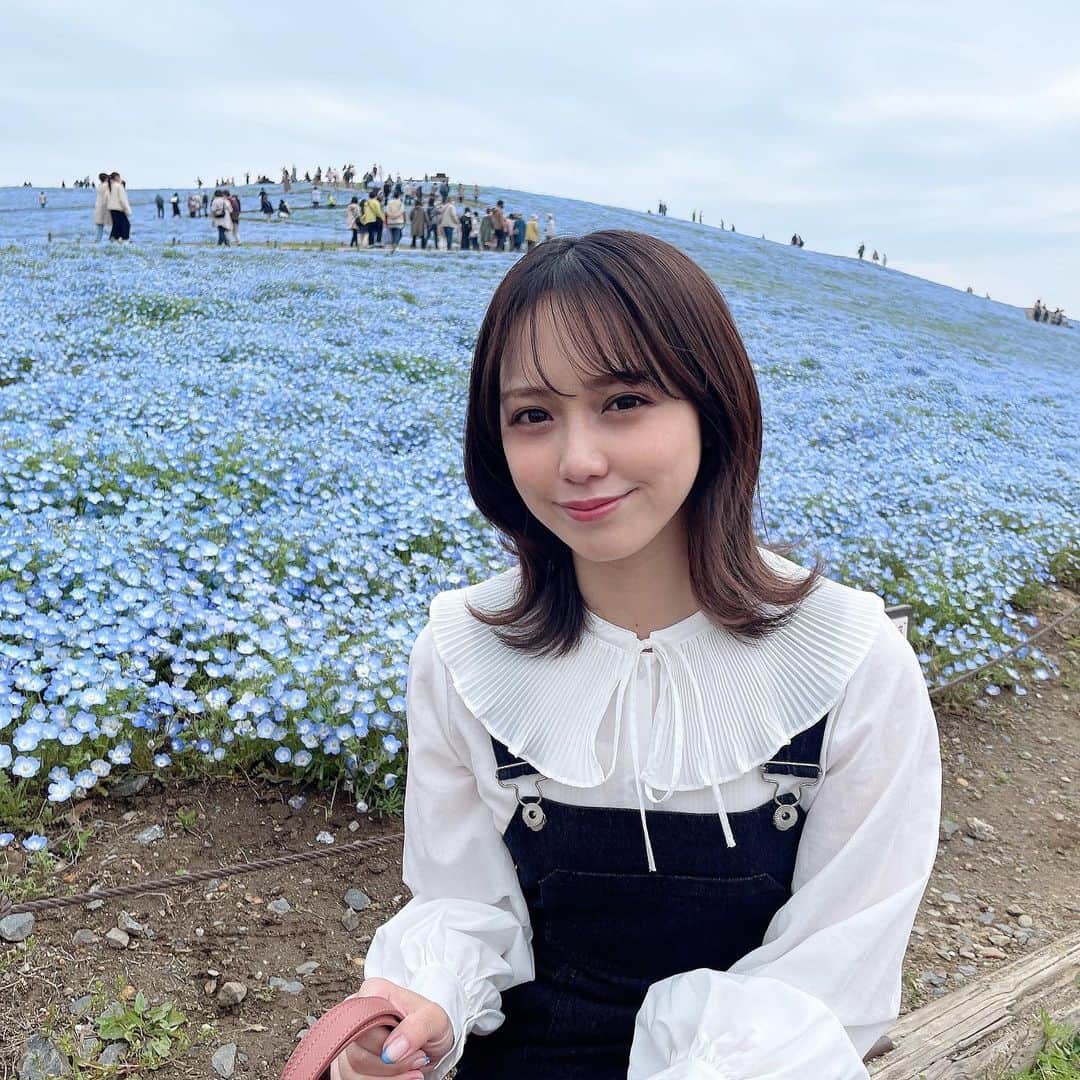 奥仲麻琴さんのインスタグラム写真 - (奥仲麻琴Instagram)「. . とっても綺麗でした🫐 毎年綺麗に管理されていてほんとうに凄いなぁと感動します。 この時期の楽しみ、来年も楽しみだなぁ。 . 低身長向けですごくフィットするお気に入りのデニムワンピース❤︎  @mim_official_jp  . #国営ひたち海浜公園 #ネモフィラ  #低身長コーデ #低身長ファッション」4月20日 21時51分 - okunaka_makoto