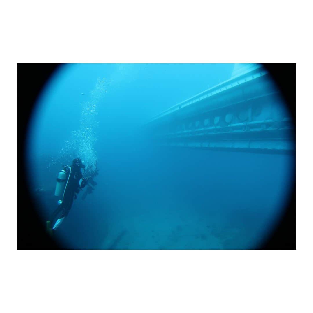 木村文乃さんのインスタグラム写真 - (木村文乃Instagram)「*** むかし海外で潜った時 潜水艇？と言うのかな？と 遭遇したこともありました。  手も振ってみたけど どんな風に見えていたのかな。笑」4月21日 7時16分 - uminokimura_official