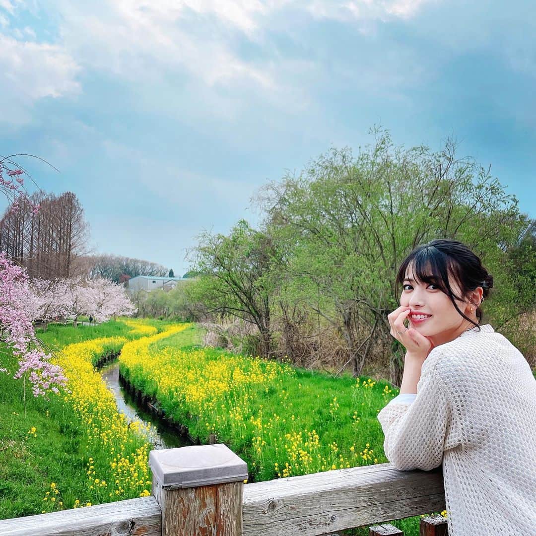 矢島舞美さんのインスタグラム写真 - (矢島舞美Instagram)「. 桜の時期も終わっちゃいましたね〜🌸🥲 親友と親友ベイビーと公園をお散歩した写真第二弾‼︎☺️ 空と緑と川と桜と菜の花と、この味のある古い橋‼︎ほんっとーに癒されるスポットじゃない⁈♡日本の景色は美しいね🗻🌸 親友と『癒されすぎるね〜😭』ってずっと感動してました‼︎晴れ女の親友と雨女の私と、、、この日はまさにこの2人にピッタリの天気で、めちゃくちゃ暑いなー💦と思っていたのに、帰り際にはザーザー降り出して、雨で散ってしまう前に撮れた桜の写真です♡🌸 . . #矢島舞美#桜#美しい景色」4月21日 10時57分 - maimiyajima_official_uf