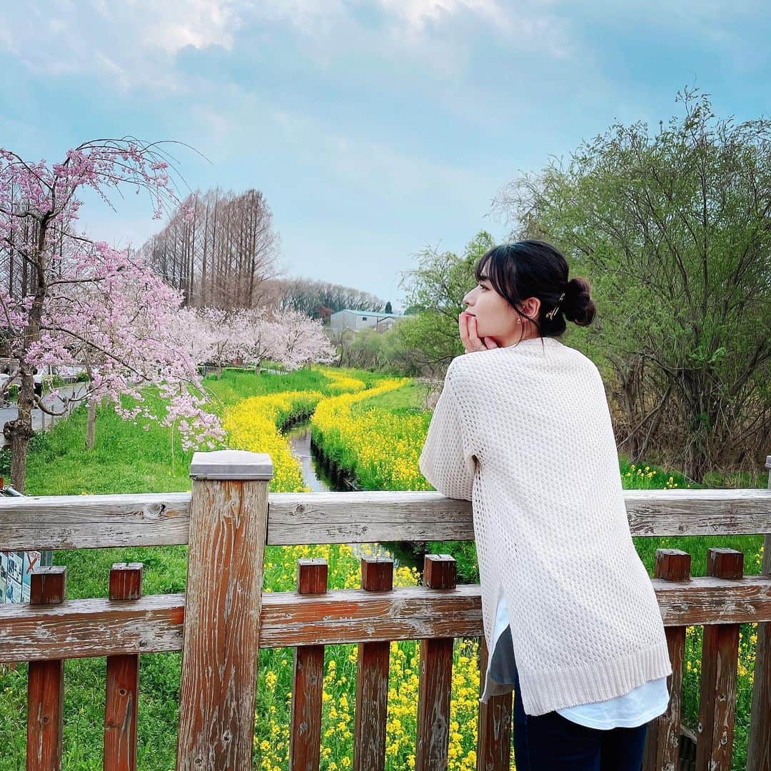 矢島舞美さんのインスタグラム写真 - (矢島舞美Instagram)「. 桜の時期も終わっちゃいましたね〜🌸🥲 親友と親友ベイビーと公園をお散歩した写真第二弾‼︎☺️ 空と緑と川と桜と菜の花と、この味のある古い橋‼︎ほんっとーに癒されるスポットじゃない⁈♡日本の景色は美しいね🗻🌸 親友と『癒されすぎるね〜😭』ってずっと感動してました‼︎晴れ女の親友と雨女の私と、、、この日はまさにこの2人にピッタリの天気で、めちゃくちゃ暑いなー💦と思っていたのに、帰り際にはザーザー降り出して、雨で散ってしまう前に撮れた桜の写真です♡🌸 . . #矢島舞美#桜#美しい景色」4月21日 10時57分 - maimiyajima_official_uf