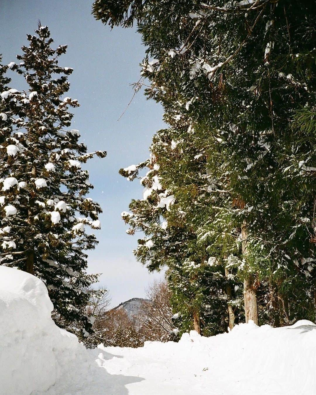 森田望智さんのインスタグラム写真 - (森田望智Instagram)「『雪国』見てくださった皆様、ありがとうございました⛄️ #雪国 #offshot」4月21日 21時00分 - misatomorita_official