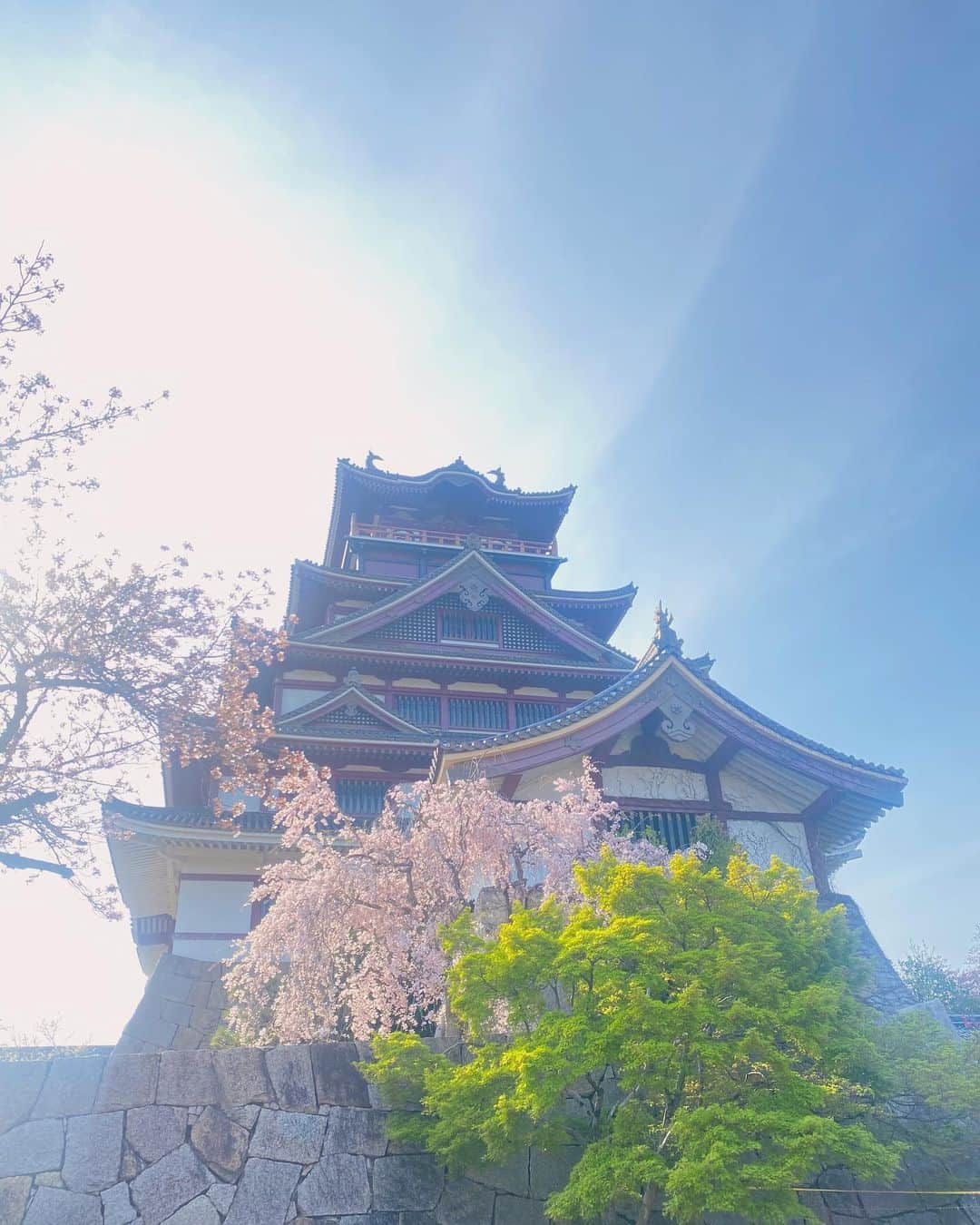 芹那さんのインスタグラム写真 - (芹那Instagram)「🏯🌸🏯  桜がまだ少し残っているときに 行ってきた🤍京都は私でも知っている歴史上の人物に関する景色がたくさんあってその時を想像するとうっかり令和ということを忘れられる#タイムスリップ できるっぽい また近々京都観光行きます🌱🌿新緑の京都💚  #城 #伏見城 #伏見桃山城 #伏見桃山 #豊臣秀吉 #徳川家康 #関ヶ原の戦い #安土桃山時代 #石田三成 #京都観光 #京都旅行 #京都散策 #歴史 #日本史 #京都好きな人と繋がりたい」4月21日 23時04分 - serinaofficial