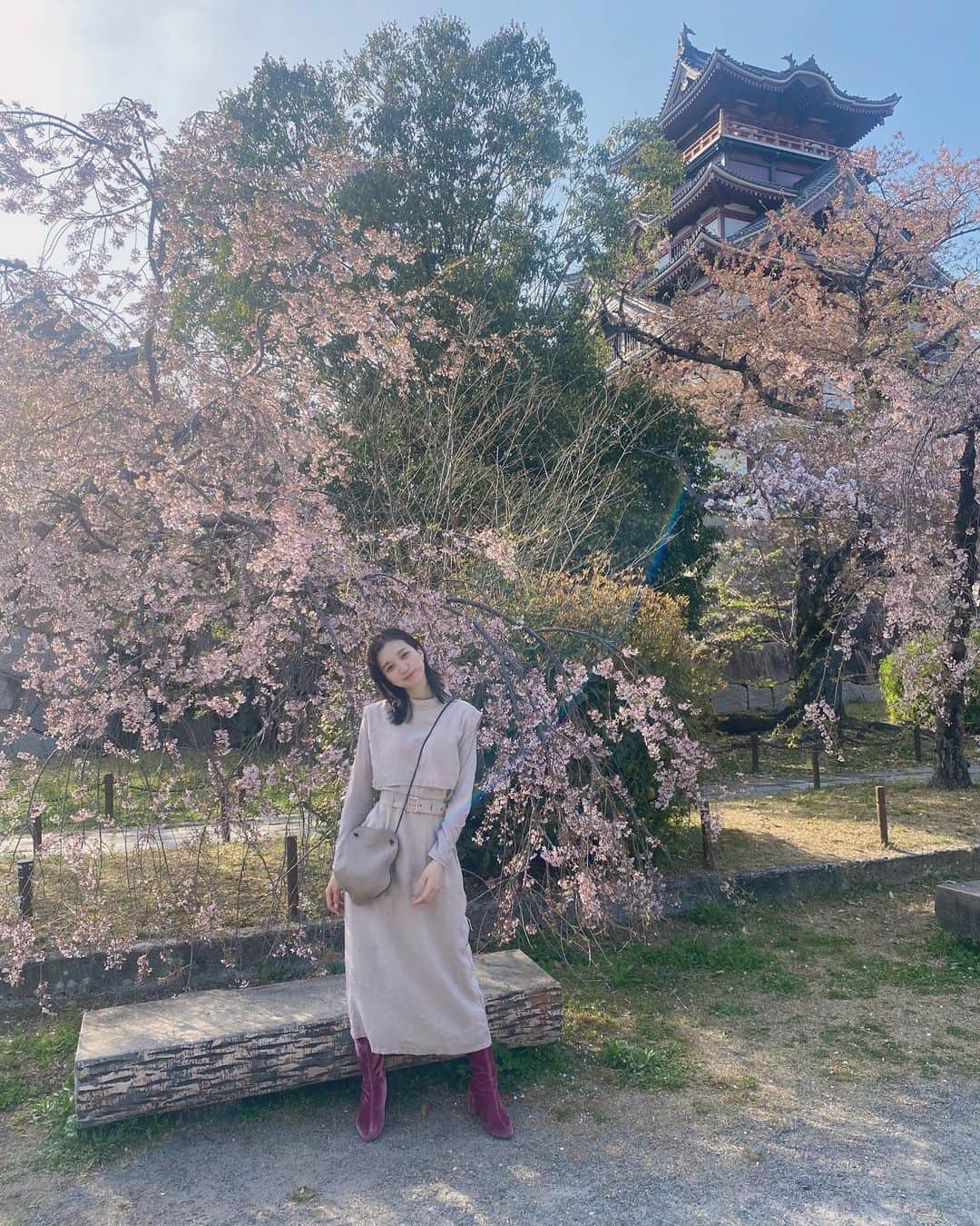 芹那さんのインスタグラム写真 - (芹那Instagram)「🏯🌸🏯  桜がまだ少し残っているときに 行ってきた🤍京都は私でも知っている歴史上の人物に関する景色がたくさんあってその時を想像するとうっかり令和ということを忘れられる#タイムスリップ できるっぽい また近々京都観光行きます🌱🌿新緑の京都💚  #城 #伏見城 #伏見桃山城 #伏見桃山 #豊臣秀吉 #徳川家康 #関ヶ原の戦い #安土桃山時代 #石田三成 #京都観光 #京都旅行 #京都散策 #歴史 #日本史 #京都好きな人と繋がりたい」4月21日 23時04分 - serinaofficial