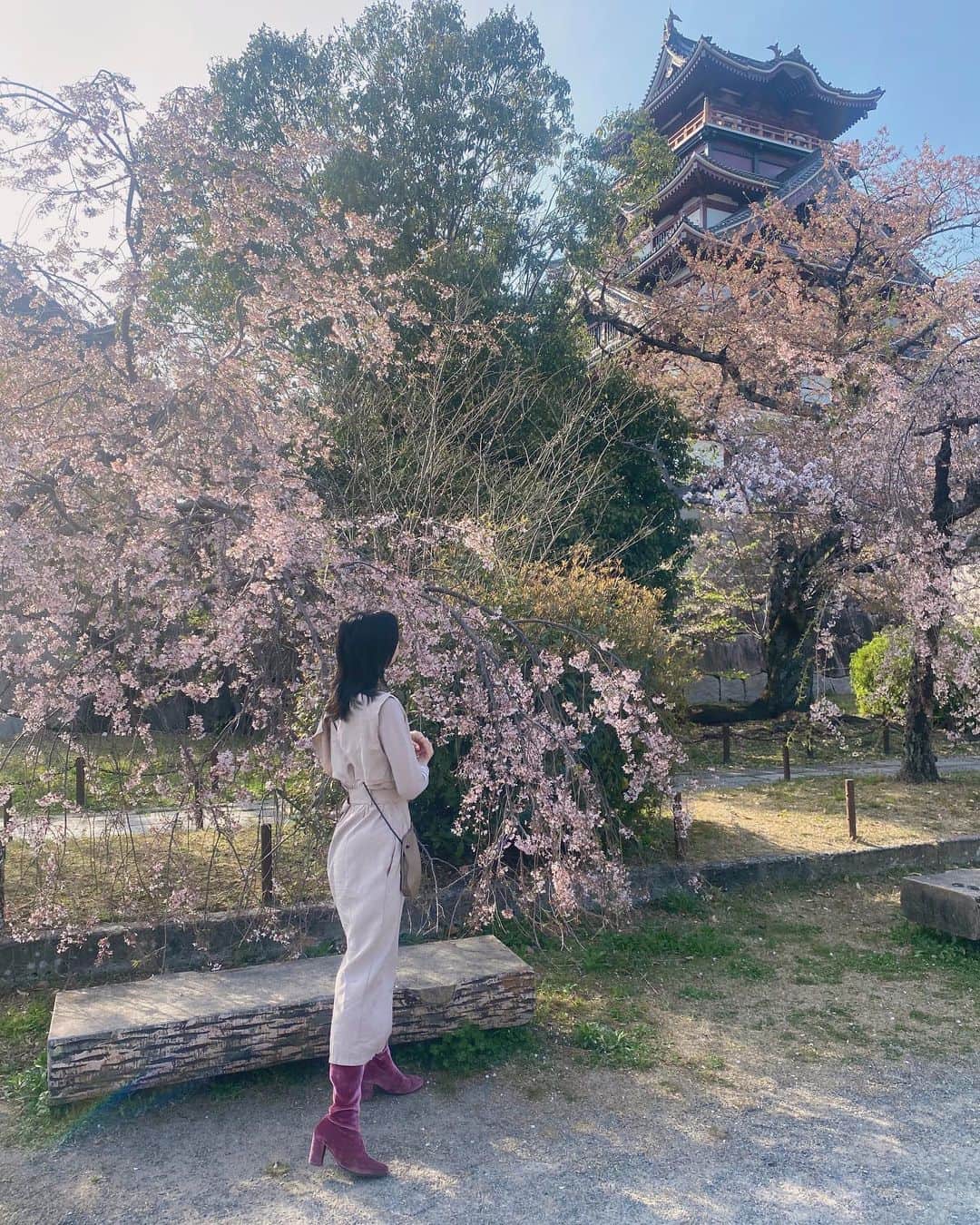 芹那さんのインスタグラム写真 - (芹那Instagram)「🏯🌸🏯  桜がまだ少し残っているときに 行ってきた🤍京都は私でも知っている歴史上の人物に関する景色がたくさんあってその時を想像するとうっかり令和ということを忘れられる#タイムスリップ できるっぽい また近々京都観光行きます🌱🌿新緑の京都💚  #城 #伏見城 #伏見桃山城 #伏見桃山 #豊臣秀吉 #徳川家康 #関ヶ原の戦い #安土桃山時代 #石田三成 #京都観光 #京都旅行 #京都散策 #歴史 #日本史 #京都好きな人と繋がりたい」4月21日 23時04分 - serinaofficial