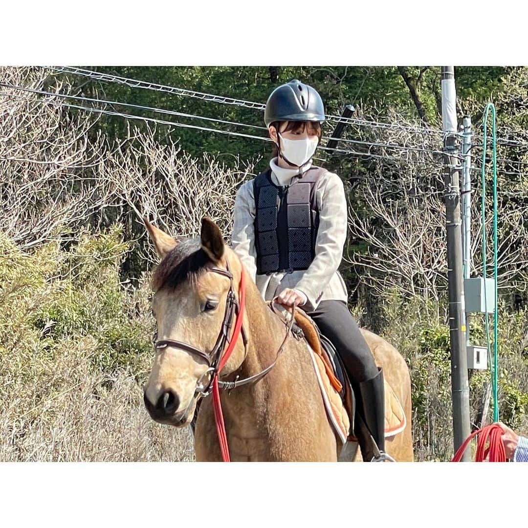 佐藤梨那さんのインスタグラム写真 - (佐藤梨那Instagram)「🐴  Oha!4で乗馬体験しました🤍  人生初の乗馬。  一番難しかったのは 最初に馬に乗ることでした。  #左足つった」4月22日 12時55分 - sato_lina