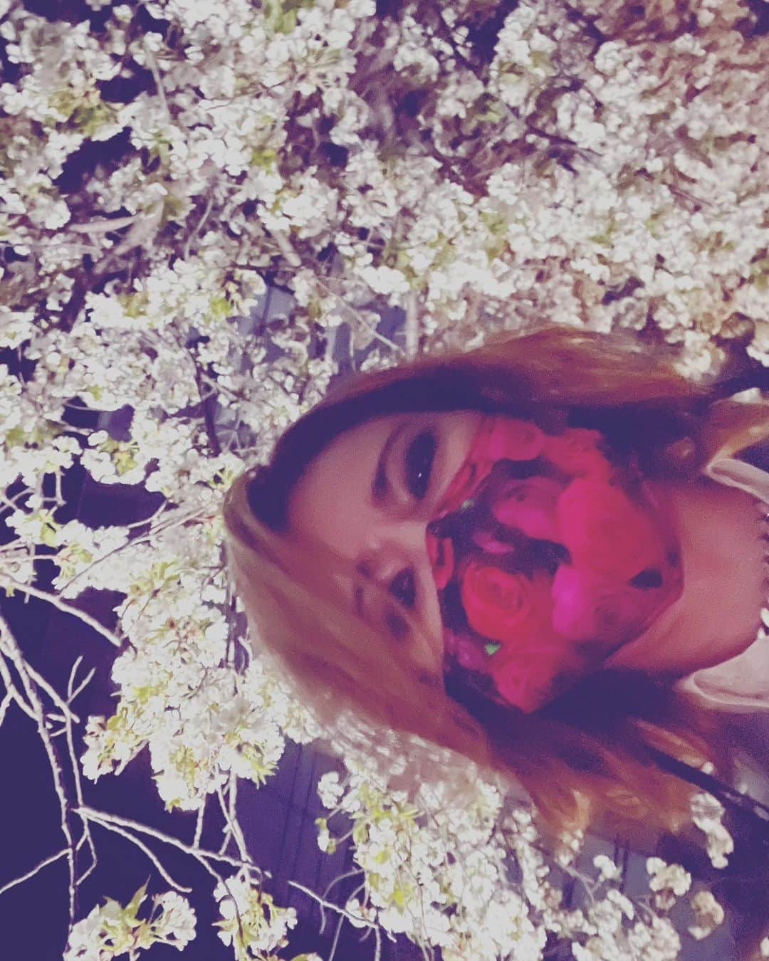 YOSHIKIさんのインスタグラム写真 - (YOSHIKIInstagram)「Sakura! 桜 Cherry blossom. 🌸 ぎりぎり間に合った？  Yoshiki   #yoshiki #xjapan #sakura #cherryblossom #さくら ＃桜 #tokyo #japan」4月22日 21時10分 - yoshikiofficial