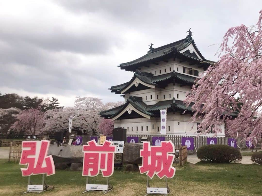 前野えまさんのインスタグラム写真 - (前野えまInstagram)「桜前線が北上しています🌸 ・ ・ #青森 #弘前 #弘前さくらまつり #桜のトンネル #桜の名所 #弘前城 #桜前線 #🌸  #aomori #hirosaki #cherryblossom」4月24日 17時22分 - maeno_ema