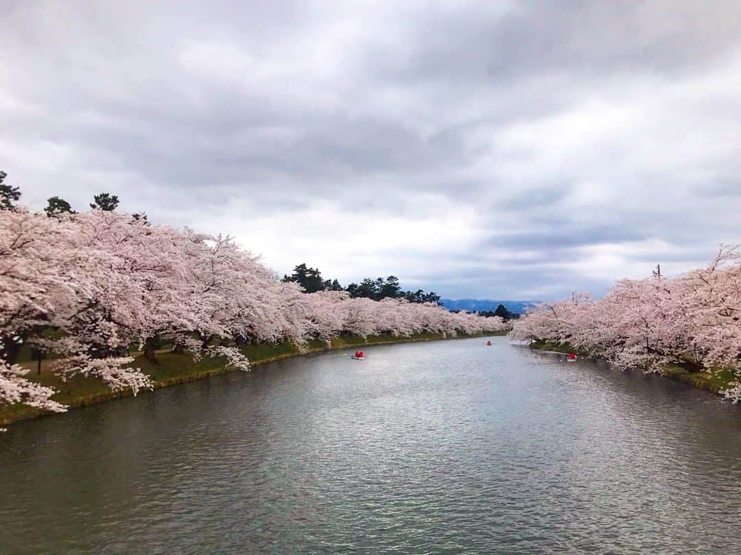 前野えまさんのインスタグラム写真 - (前野えまInstagram)「桜前線が北上しています🌸 ・ ・ #青森 #弘前 #弘前さくらまつり #桜のトンネル #桜の名所 #弘前城 #桜前線 #🌸  #aomori #hirosaki #cherryblossom」4月24日 17時22分 - maeno_ema