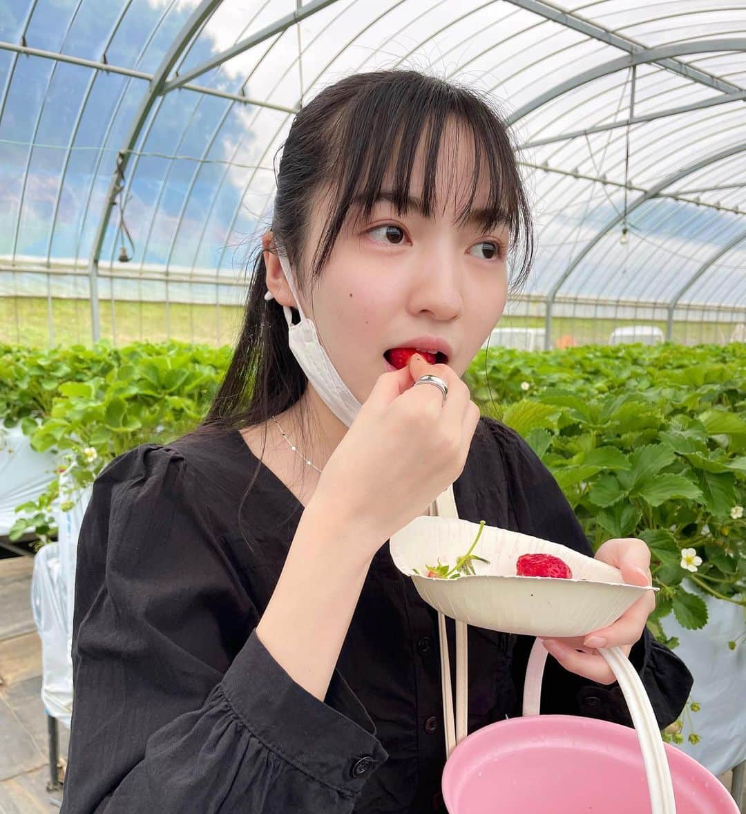 山本紗衣さんのインスタグラム写真 - (山本紗衣Instagram)「🍓 大大大好きなイチゴを🍓 30分食べ放題！ 友達と行くの念願だったから幸せ過ぎた♡ 何個食べたか覚えてないけど 多分30個以上はいただきました😋  明日から校内テスト始まる〜🌀 ・ ・ ・ #いちご狩り #いちご #農園 #strawberry #食べ放題 #お腹いっぱい #フルーツ #fruit」4月24日 19時46分 - sai_ymmt