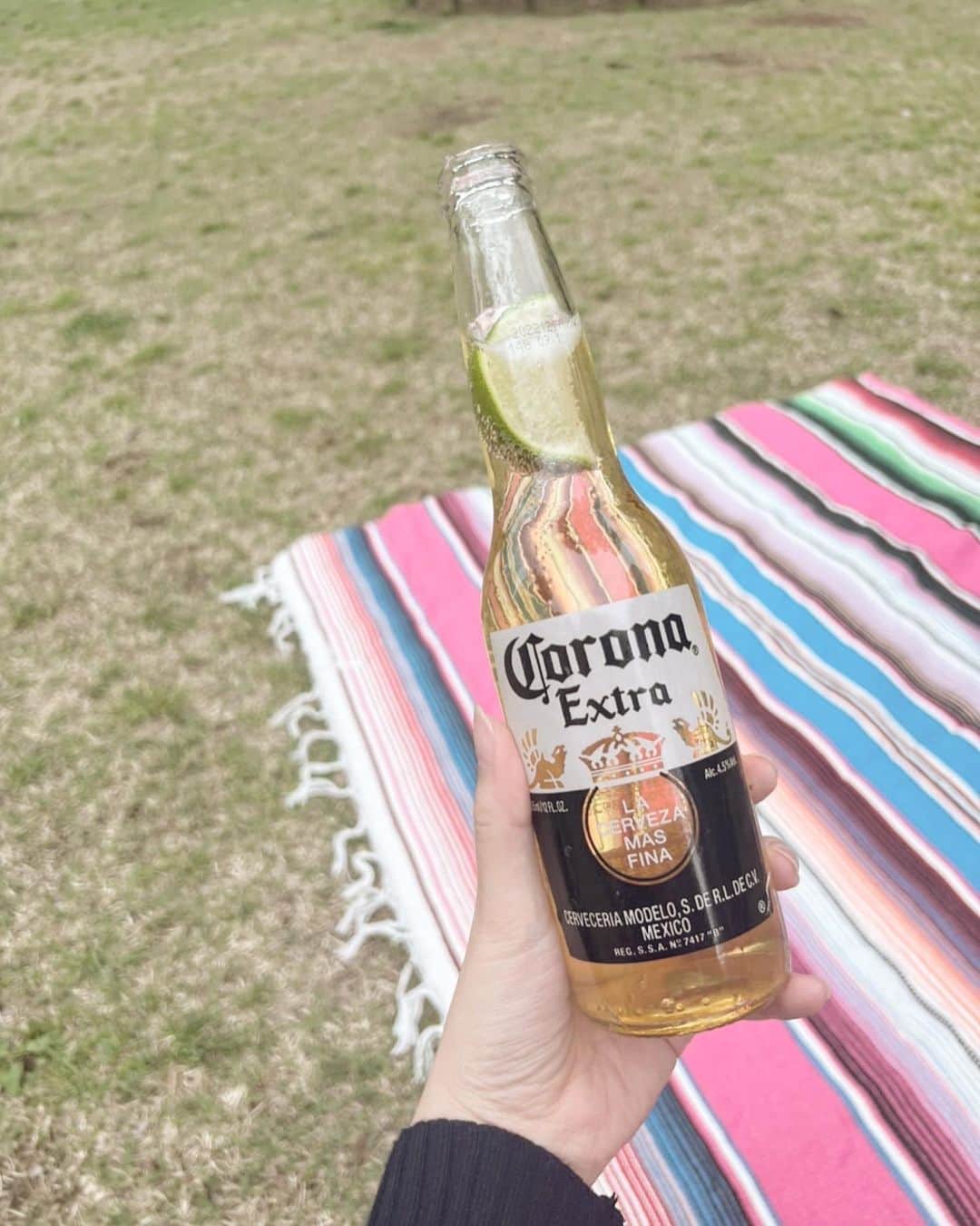 南美沙さんのインスタグラム写真 - (南美沙Instagram)「久しぶりの休日は 芝生でchill time✨  コロナにライム入れてリラックスしてました☺️✨ お昼から飲めるのって贅沢✨✨❤︎  #お休みの日のとなりに #コロナビール #sponsored  #リラックスのとなりに  @corona」4月25日 20時37分 - miee.misa