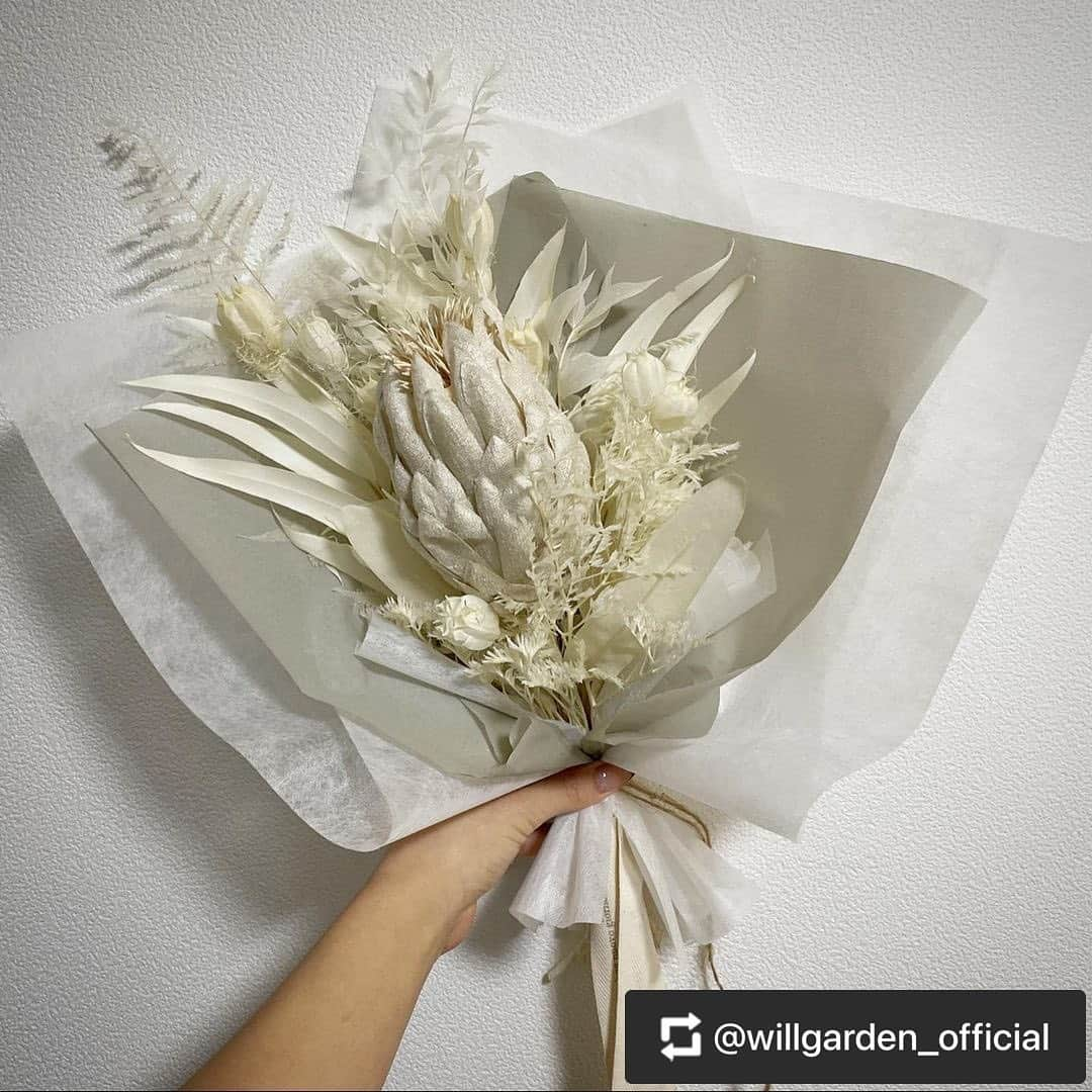 畑野ひろ子さんのインスタグラム写真 - (畑野ひろ子Instagram)「【WILLGARDEN】NEW item  ホワイトの花材を集めた新商品。 母の日のギフトにもおすすめです。  春の新たな門出に、あえて色の入っていない花材をセレクトしております。  手に取ってくださった皆様が、「何色にも染まっていない、白のような新しい気持ちで日々を迎えられるように」と想いを込めて作成いたしました。  メインの花材であるプロテアは人気のウォームアイボリーカラーのアーティフィシャルフラワーです。  飾る場所を選ばず、長くお楽しみいただけるアレンジメントです。  詳細は @willgarden_official プロフィールページのURLよりご確認ください。  #flowers #artificalflower #life #lifestyle #gift #willgarden」4月25日 22時00分 - hiroko_hatano_