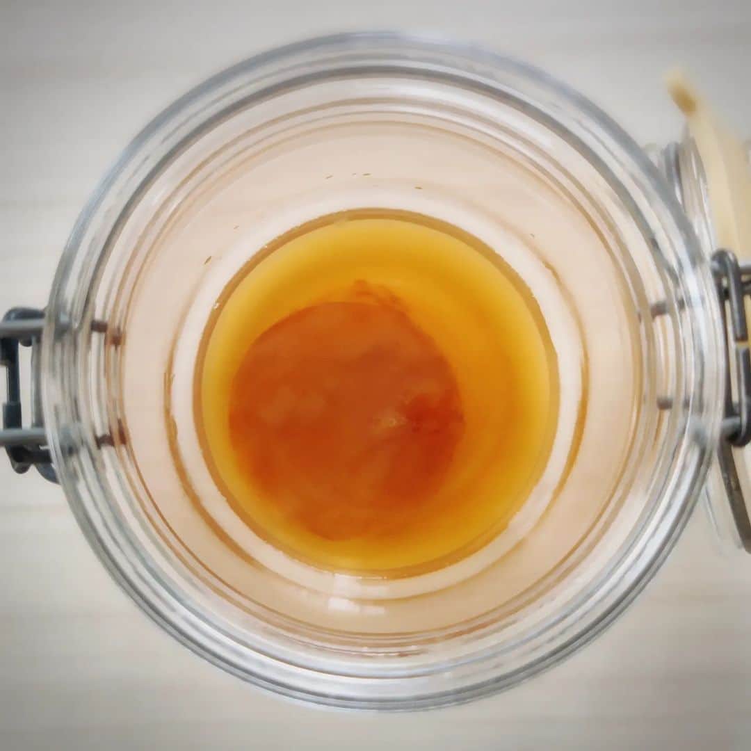 中田有紀さんのインスタグラム写真 - (中田有紀Instagram)「友達から紅茶キノコの株を分けてもらって新たな腸活スタート❗ チャーシューではありません😅 2〜3枚目、色味がおかしいけど普通の紅茶を注いで発酵を待ちます。 1週間くらいしたら飲めるらしい。楽しみ😃 #コンブチャ #紅茶キノコ #腸活」4月26日 8時55分 - akinakada0508