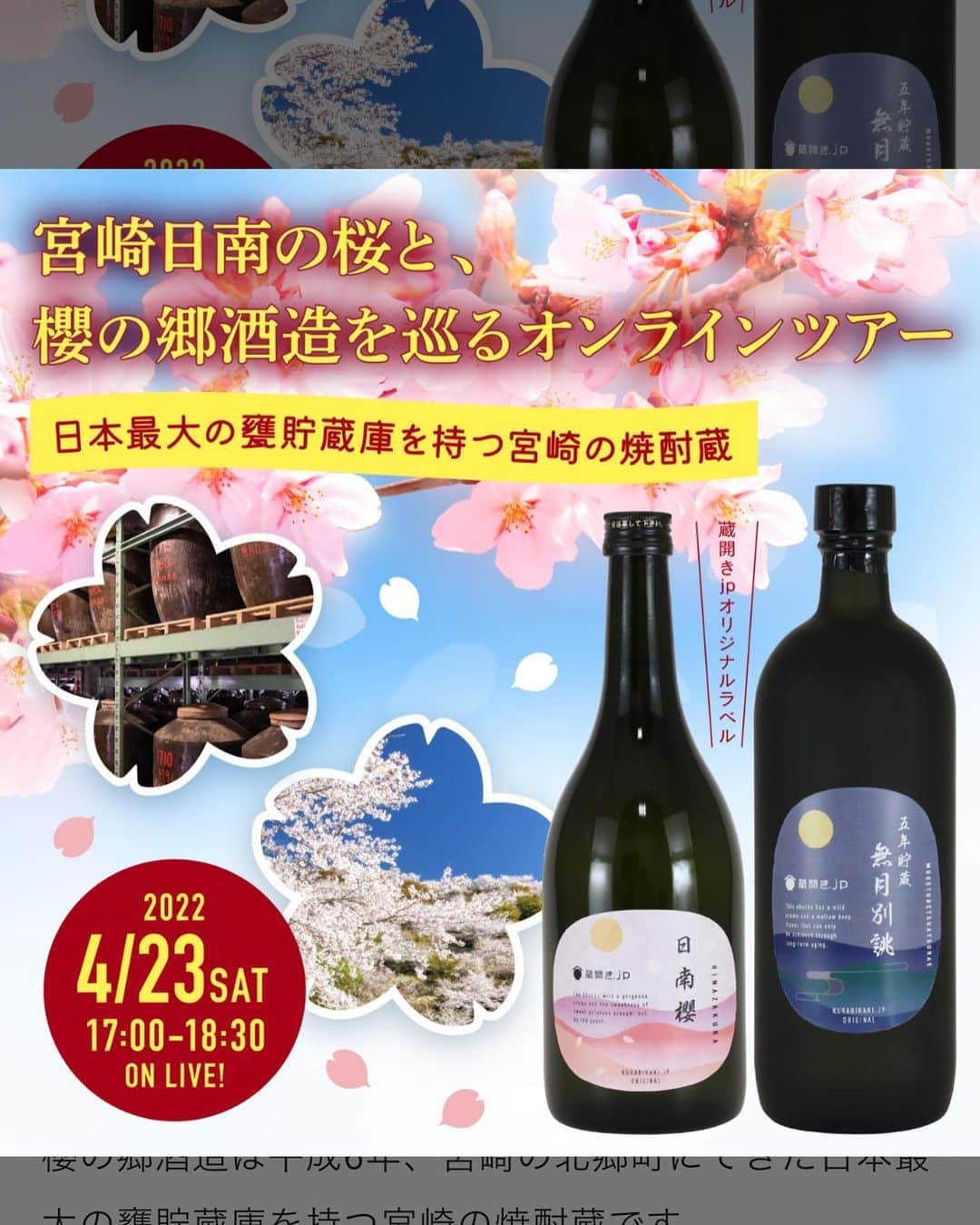 satomiさんのインスタグラム写真 - (satomiInstagram)「🌸🍶 ・ 外でのお酒が美味しい季節🍶🍺 ・ 宮崎の焼酎を飲みつつ酒蔵見学、桜観光、クイズ大会などが楽しめる（ @kurabiraki.jp ）様のonline eventに参加させて頂きました🌸 ・ 今年もまだ旅行に行けてないのでとても楽しめました✨ ・ 今年はたくさん旅行とビアガーデン行きたいな💨💨  ・  PR @kurabiraki.jp #オンラインイベント情報 #酒蔵見学 #酒蔵ツーリズム #焼酎イベント #日南観光 #宮崎焼酎 #蔵開きjp」4月26日 9時44分 - saatoomii47