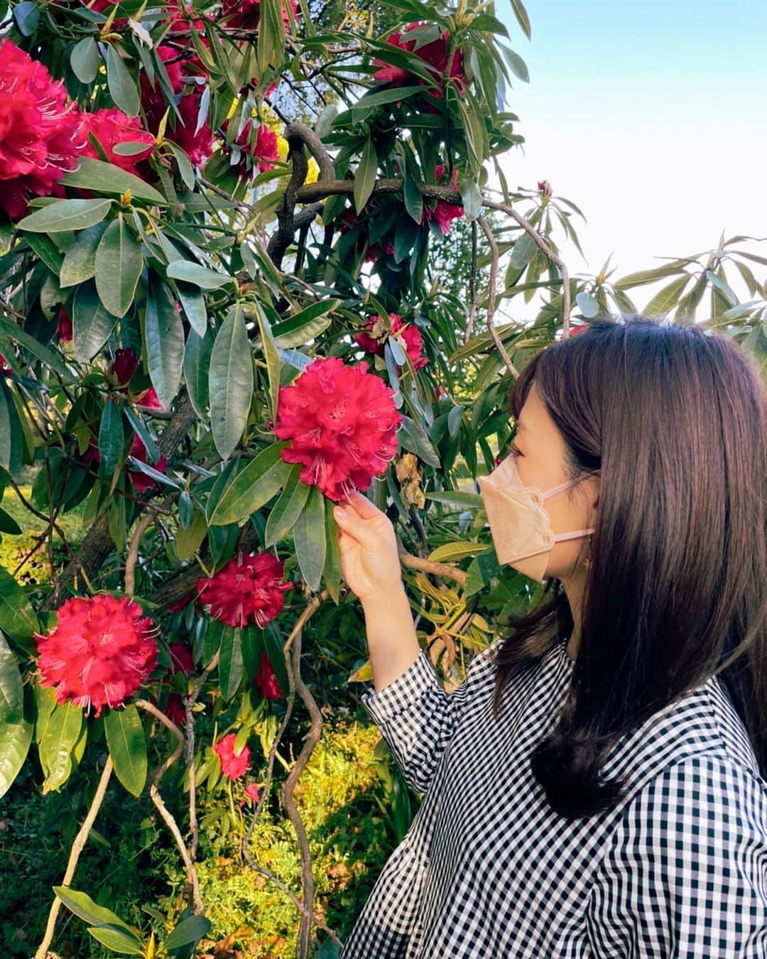 速水里彩さんのインスタグラム写真 - (速水里彩Instagram)「.  🌷🌷🌷  色んな色があって とっても綺麗でした🥰  最後の写真は🌺実はツツジ！ ツツジというと 街路樹を彩る"あのツツジ"をイメージしますが ふわっとまるーいツツジも可愛い！✨  #休日写真 #時差投稿 #🌷 #チューリップ #芝桜 #ツツジ #昔は #蜜吸いましたよね ？笑」4月26日 19時31分 - hayami.risa