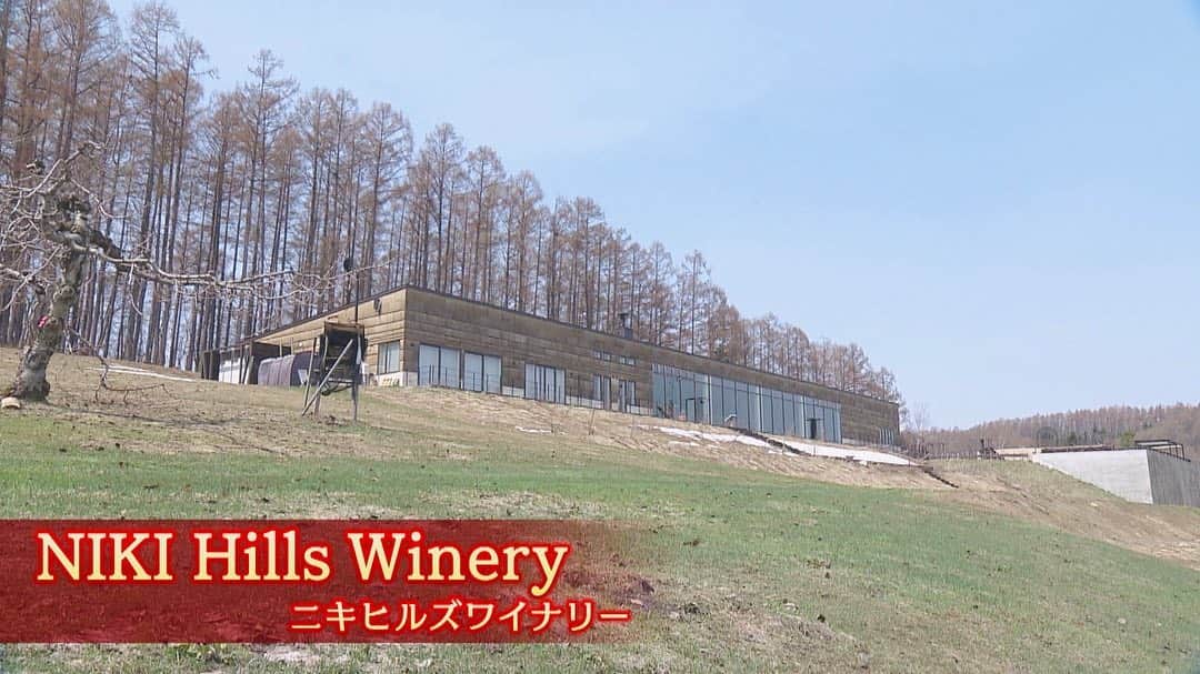 北海道放送「今日ドキッ!」さんのインスタグラム写真 - (北海道放送「今日ドキッ!」Instagram)「🍷🍇🍽 きょう5時台特集は、 GWのお出かけにぴったり‼️  併設レストランが5月1日に リニューアルオープンする、仁木町の 「NIKI Hills Winery(ニキヒルズワイナリー)」 @nikihillswinery  の魅力をたっぷりお届け🤗  メニューに料理名はなく、 シェフが綴る「詩」で料理を表現✨ 斬新なスタイルのレストランです✨✨  ワイナリー敷地内で楽しめる、 世界的冒険家の船津圭三さんがガイドする 森林浴ツアーも登場です🌿  【追記】　 知床観光船事故を巡り、運航会社社長が初めての記者会見を開いています。 会見の模様をお伝えするため、 こちらの特集の本日の放送(27日)は延期となりました。 代わりの放送日が決まり次第、お伝えいたします。」4月27日 14時42分 - hbc_kyodoki